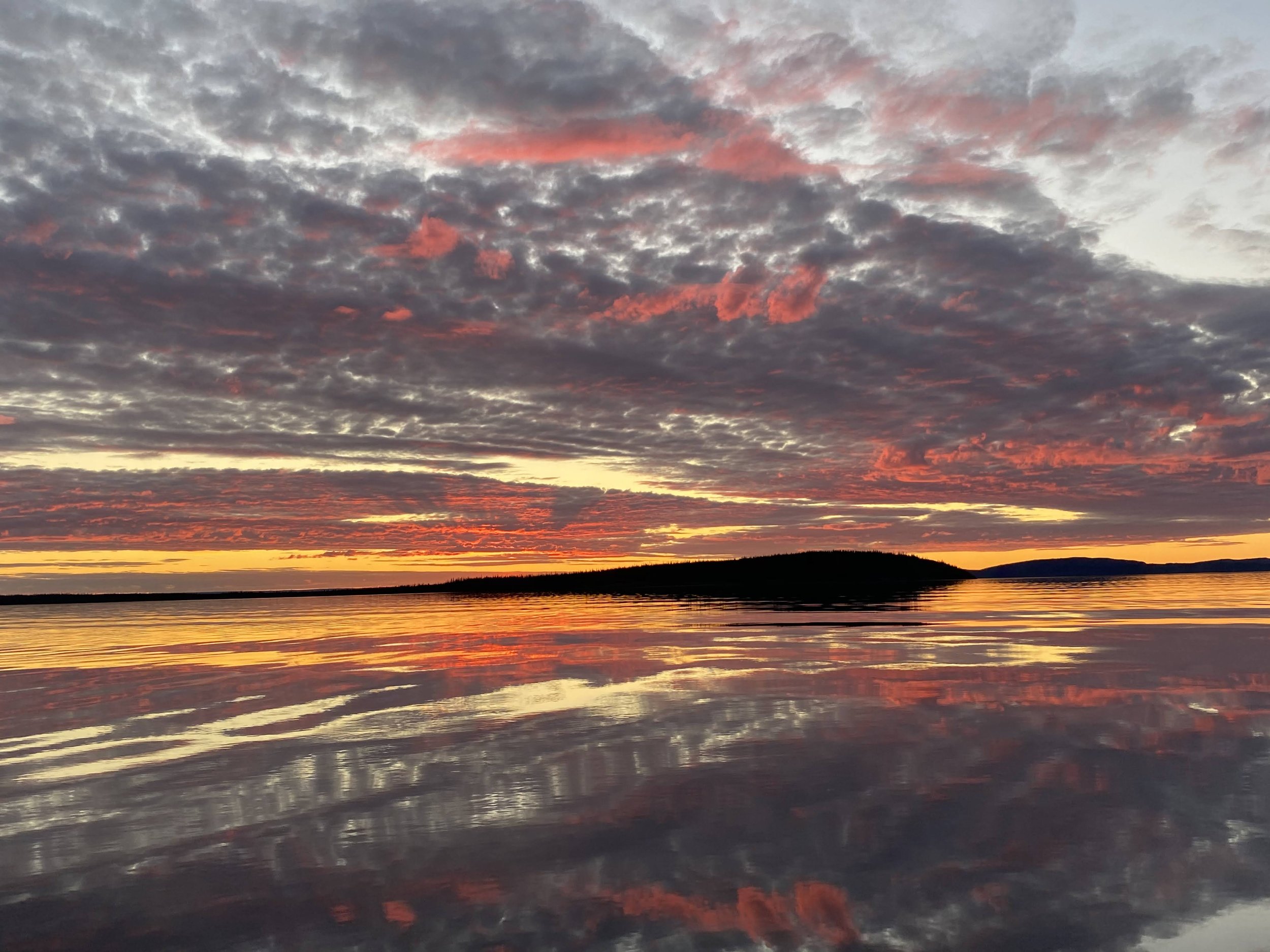 AF5740DC-1444-4EE0-A646-58836D24D4F5 (1).JPG