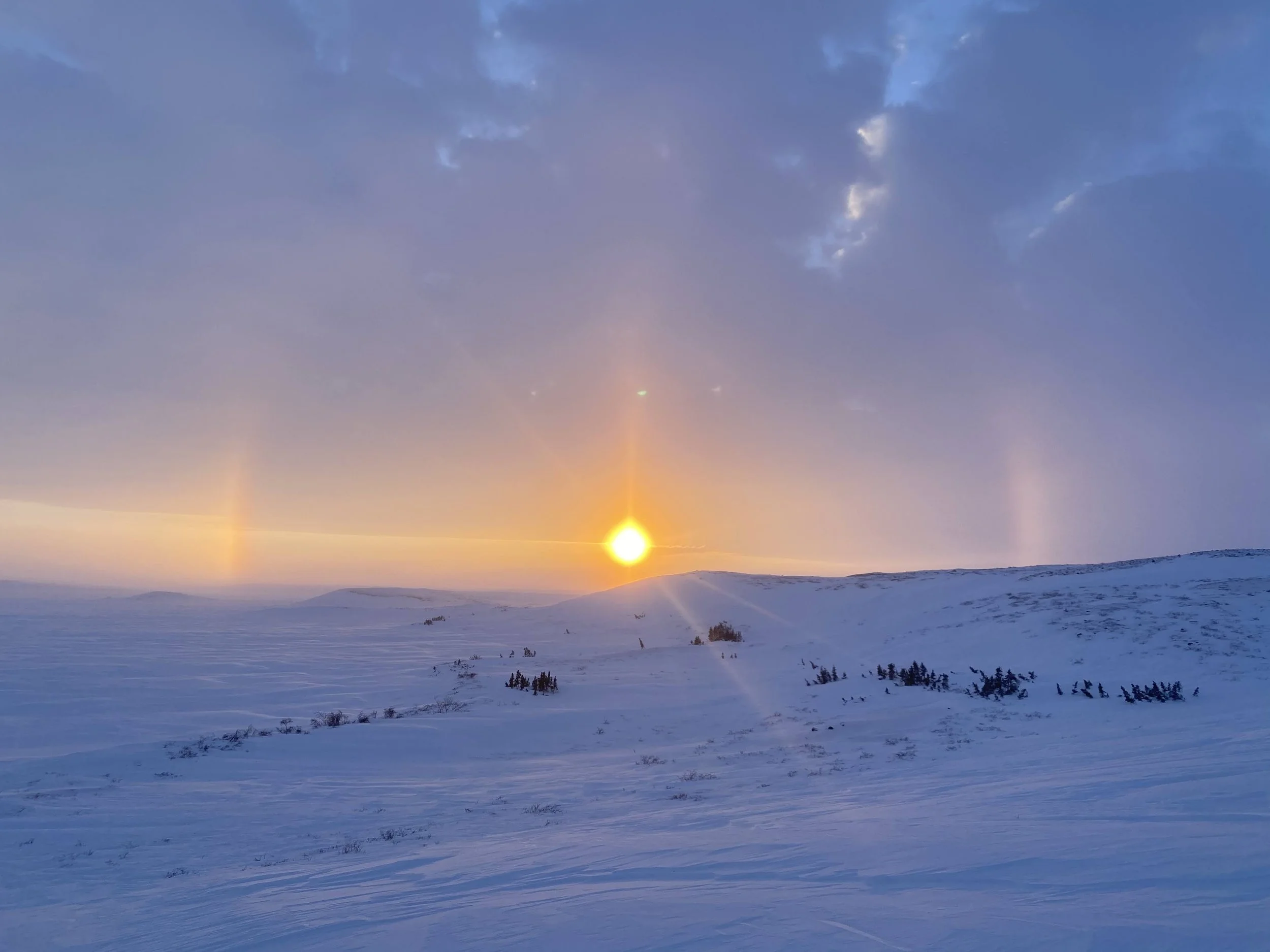 91A1514D-1356-4DB6-AF0A-312400EFE9BD (1).JPG