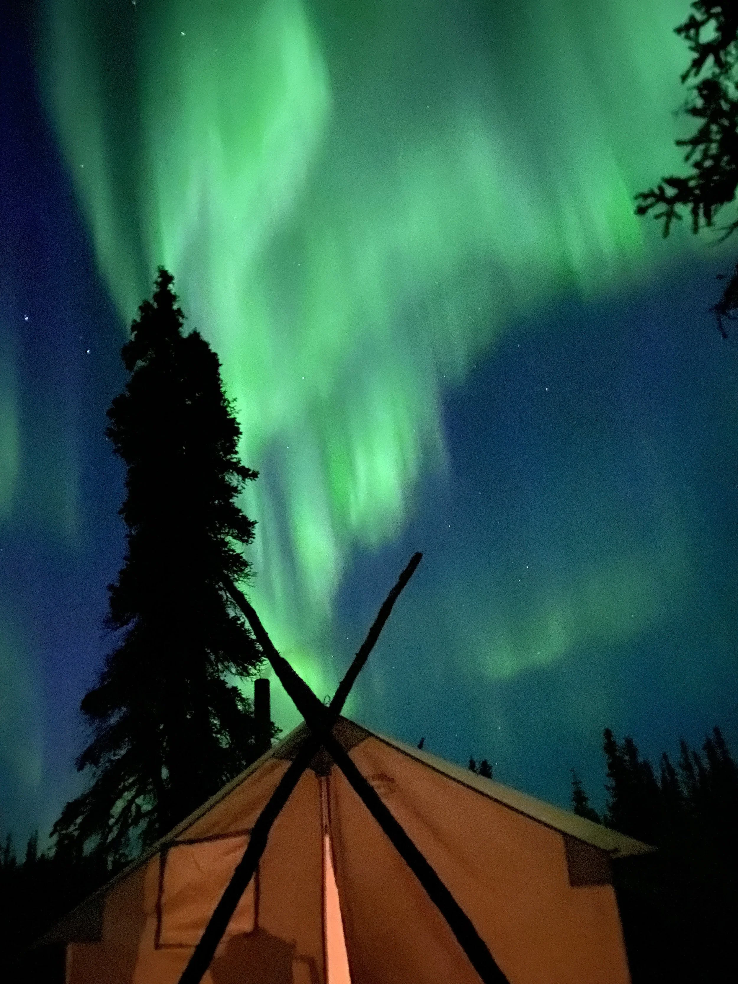 67749A69-C7F0-4A10-8249-E22764C2EAB2 (1).JPG