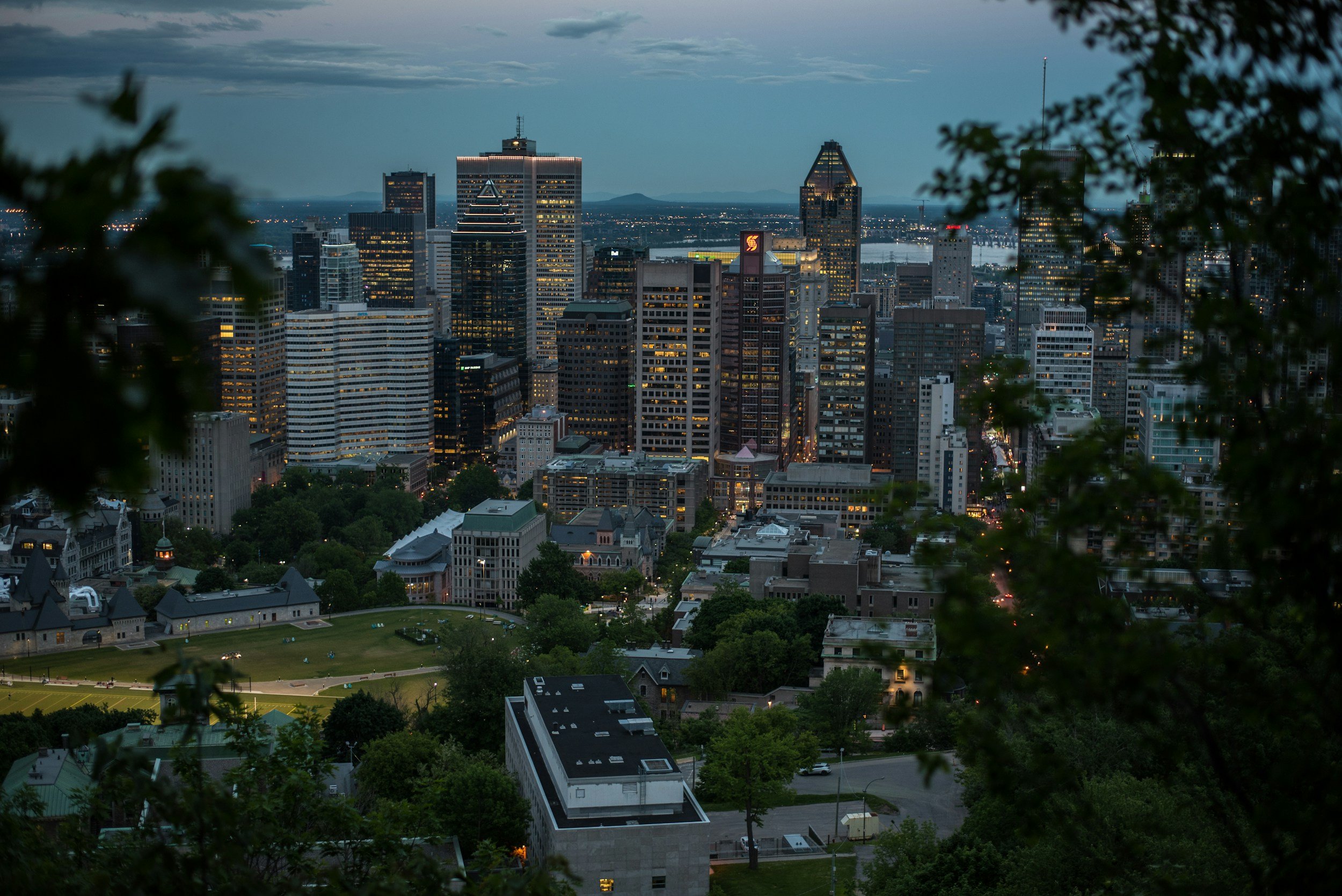 City skyline at dusk with tall buildings, some lit windows, and a body of water in the background, framed by trees in the foreground.