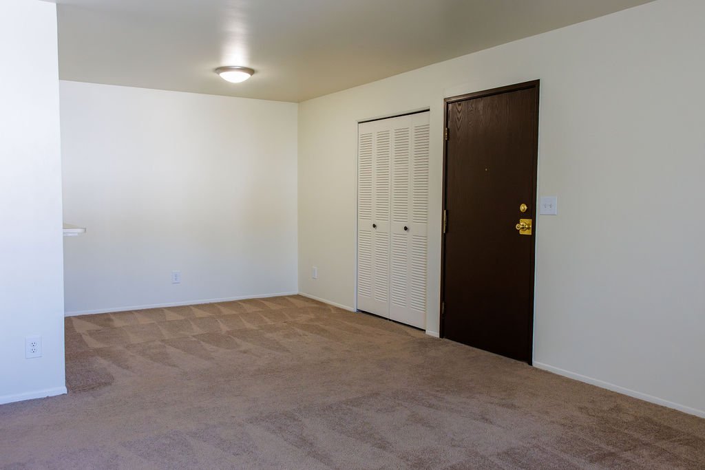 Empty living room with beige carpet, white walls, ceiling light, dark wood door, and white closet doors.