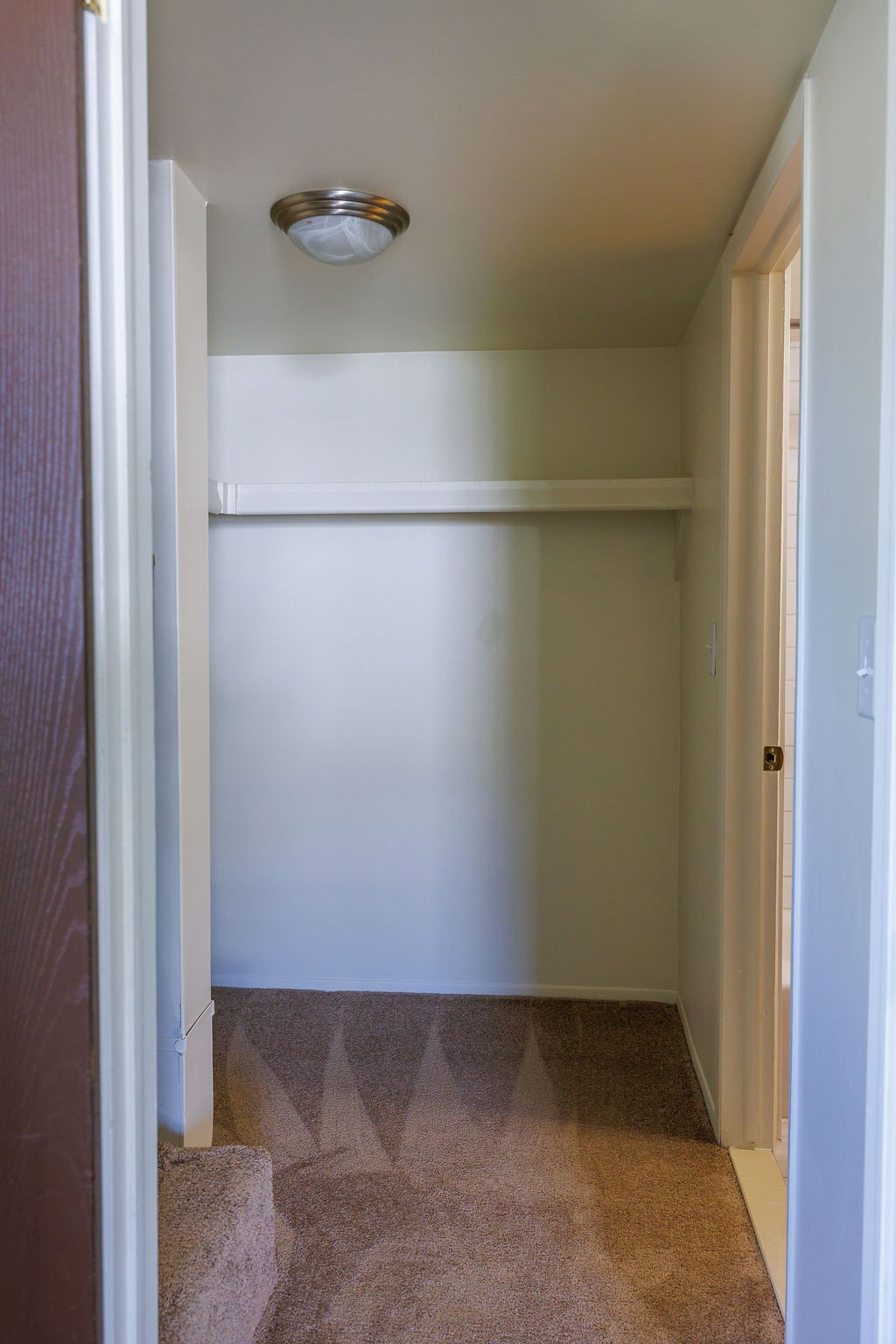 Empty walk-in closet with a beige carpet, a white shelf, and a ceiling light fixture.