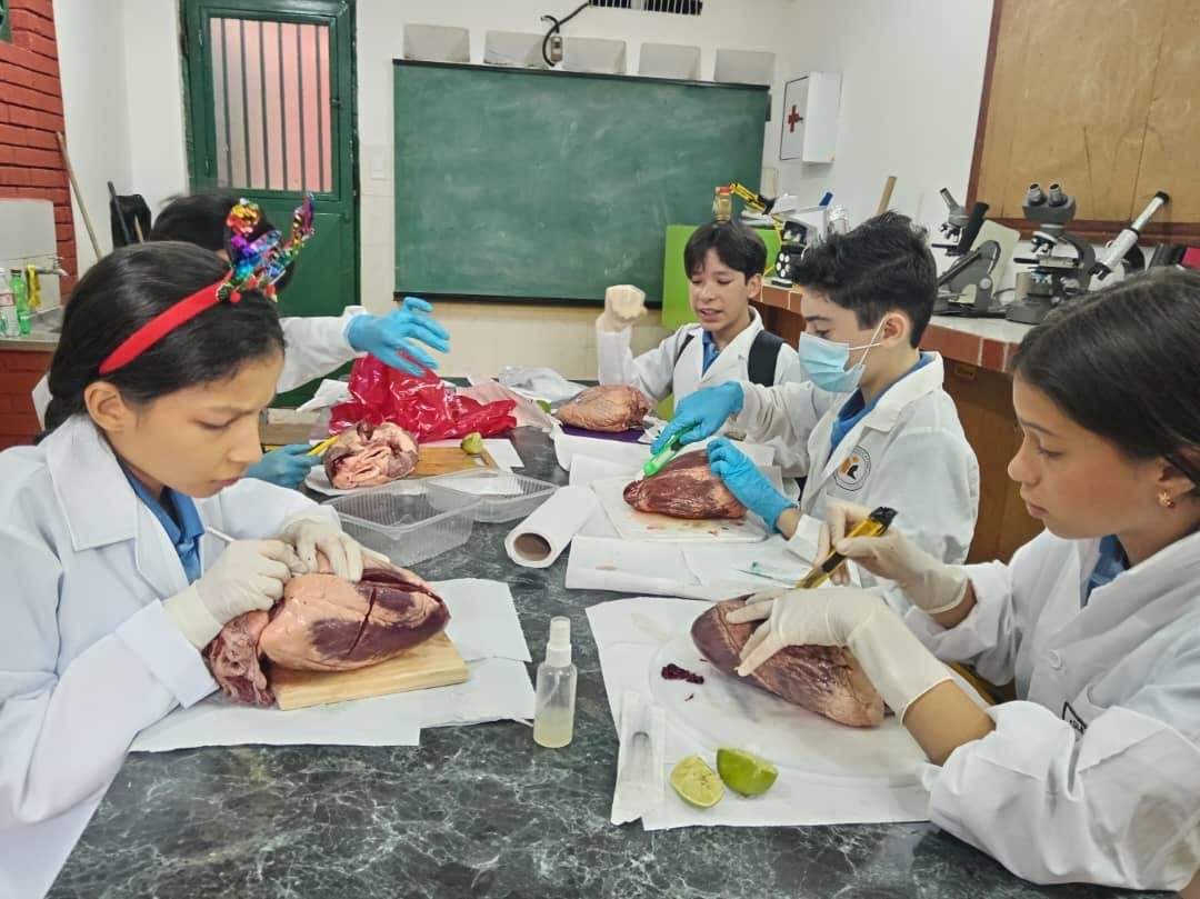 WhatsApp Image 2025-12-05 at 10.21.56 AM (1).jpeg