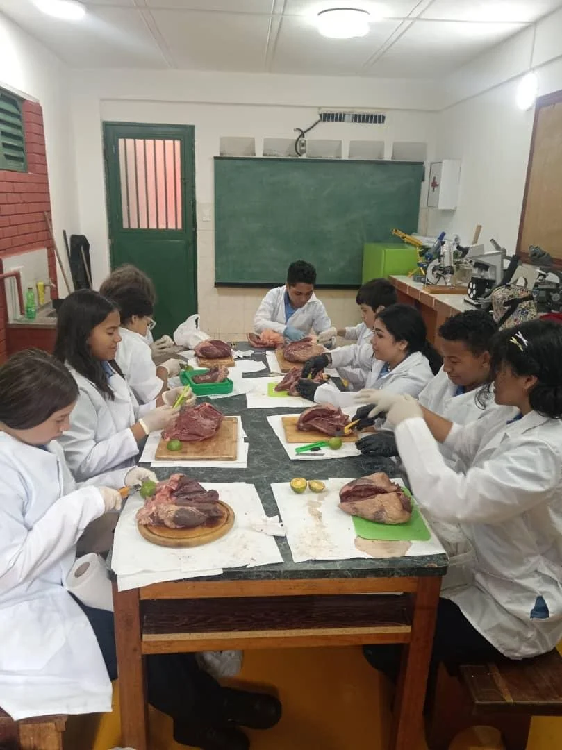 WhatsApp Image 2025-12-05 at 10.21.37 AM.jpeg