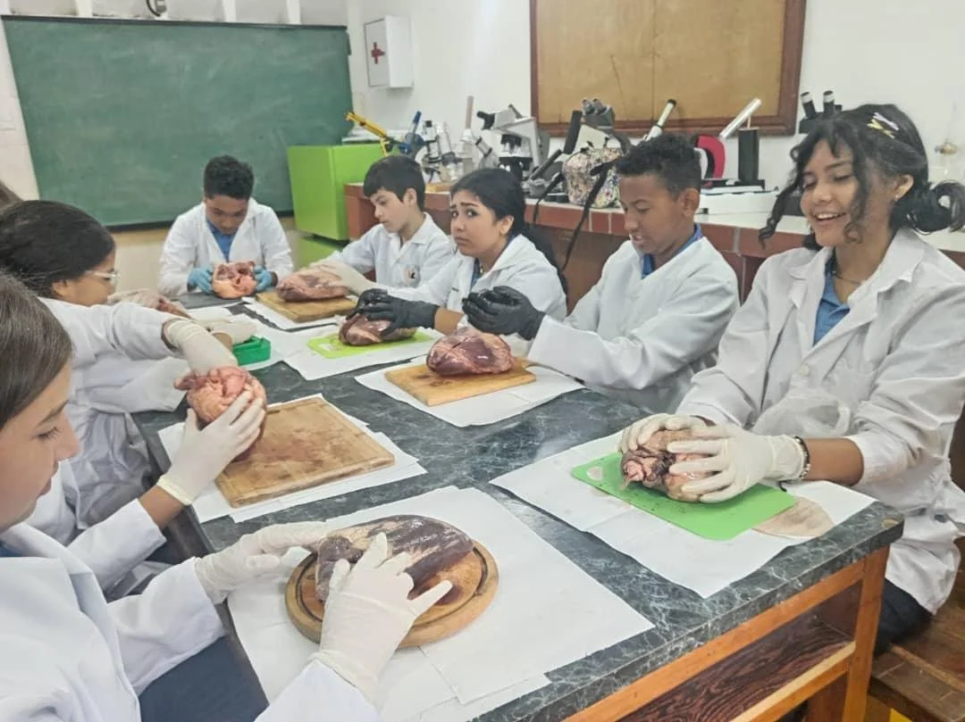 WhatsApp Image 2025-12-05 at 10.21.56 AM.jpeg