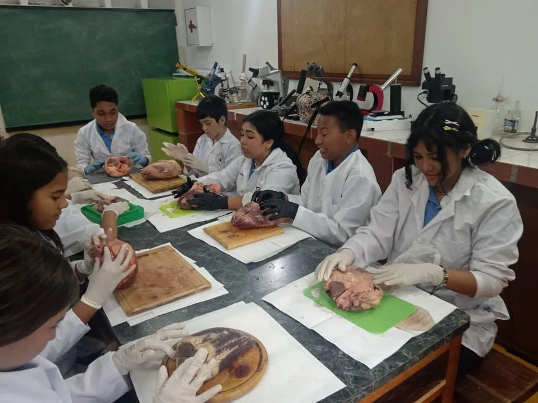 WhatsApp Image 2025-12-05 at 10.21.57 AM.jpeg