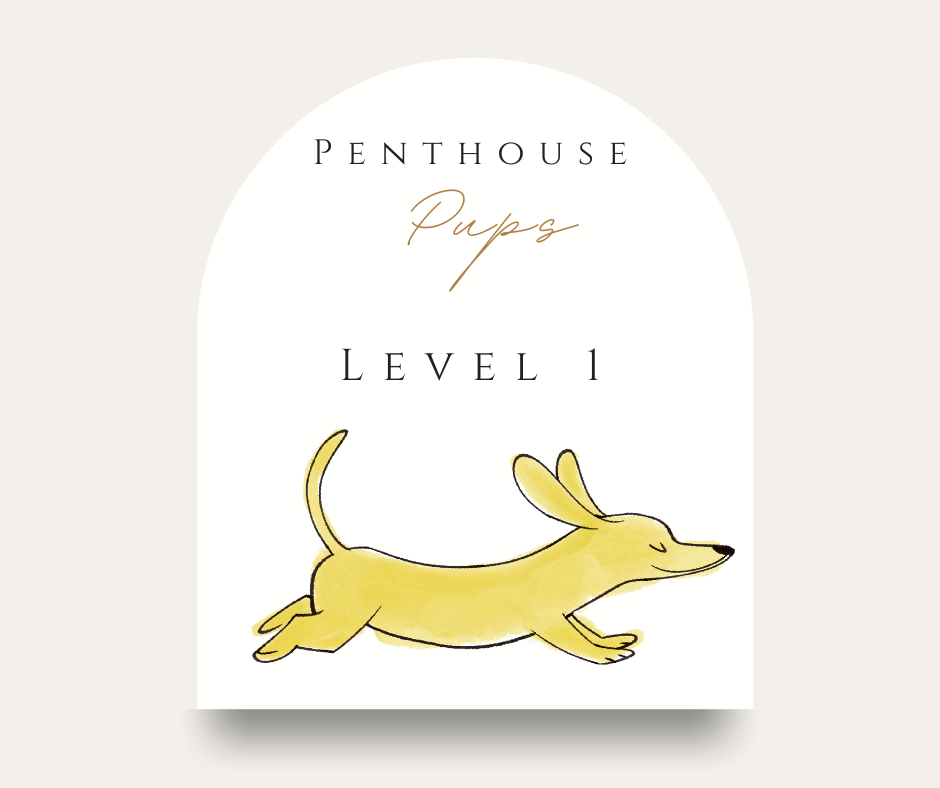 Penthouse Pups Level 1