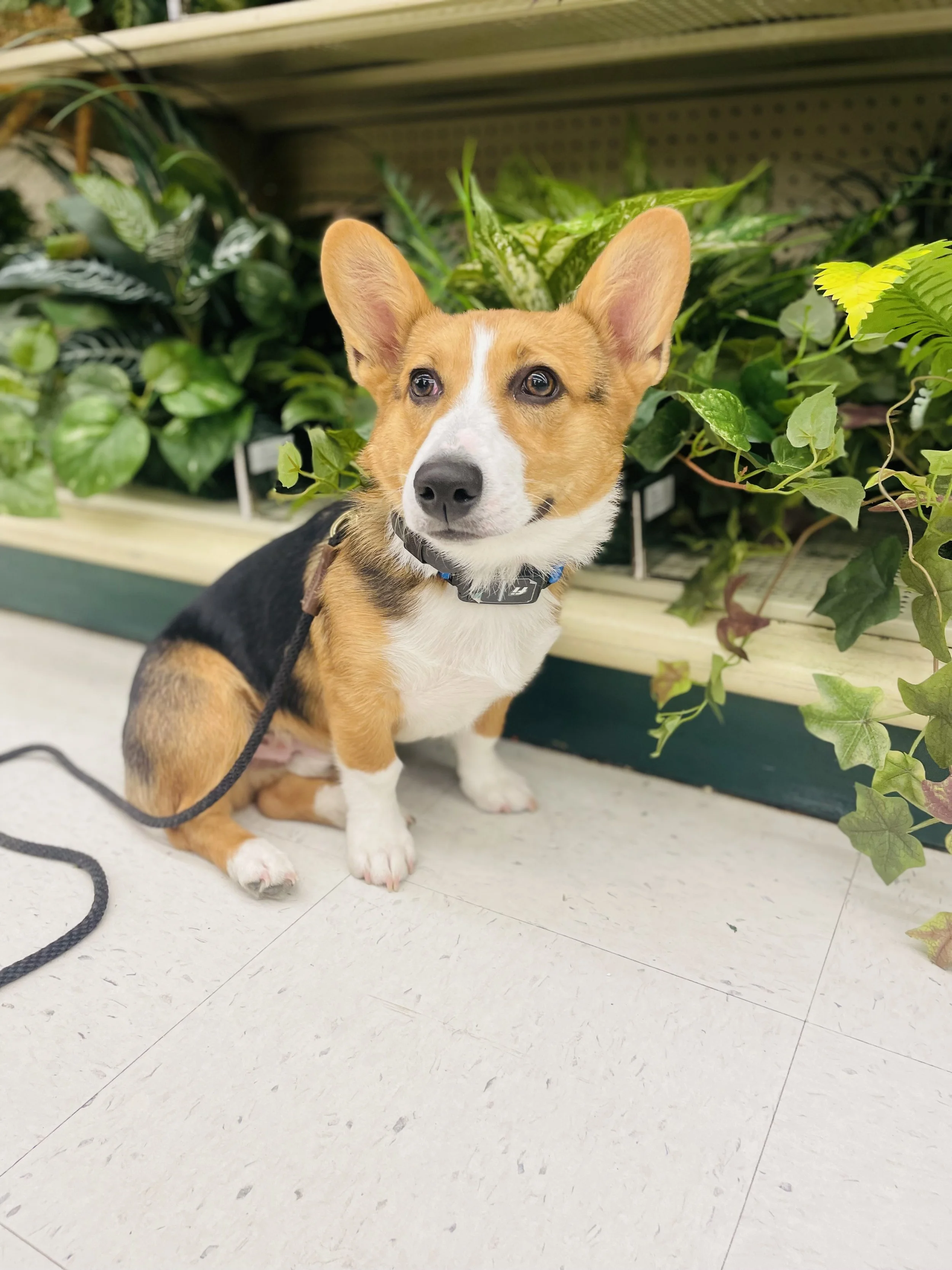 Photo Apr 25 2023, 3 02 37 PM.jpg