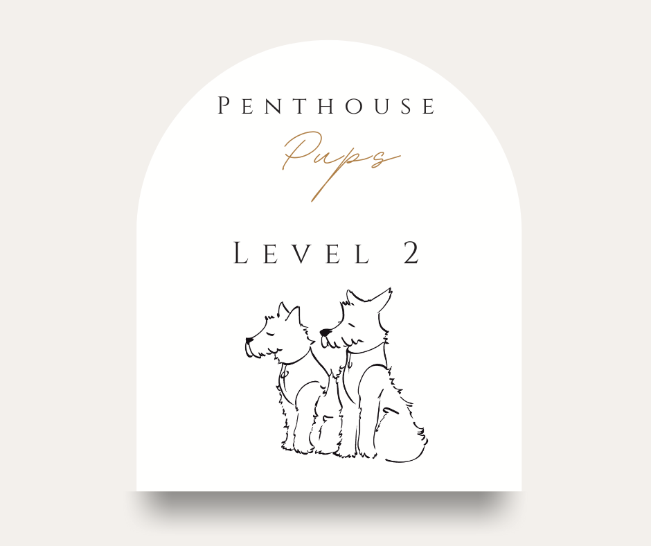 Penthouse Pups Level 2