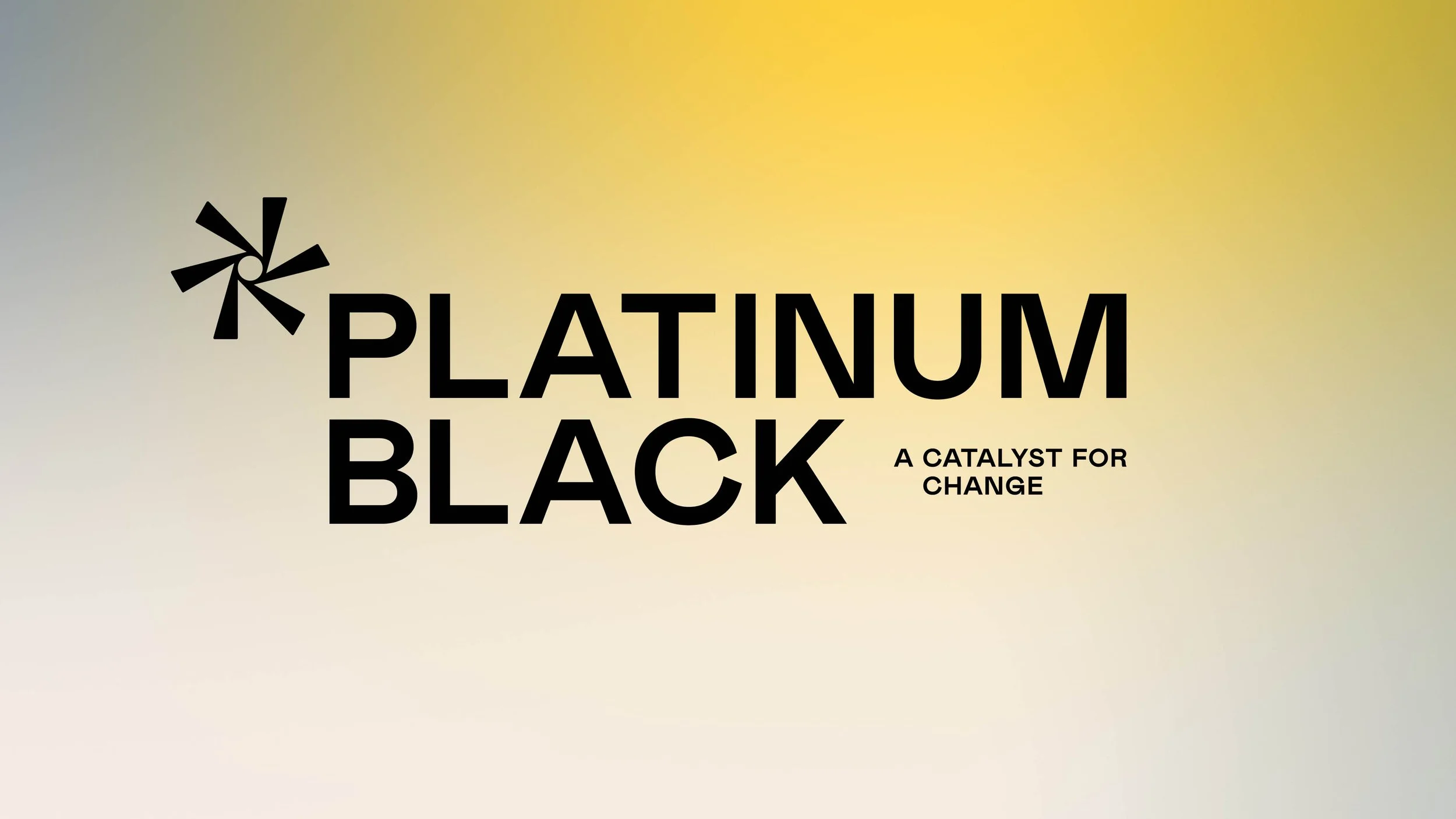 Platinum-Black_Brand-Identity-Exploration_R1-BLACK7.jpg
