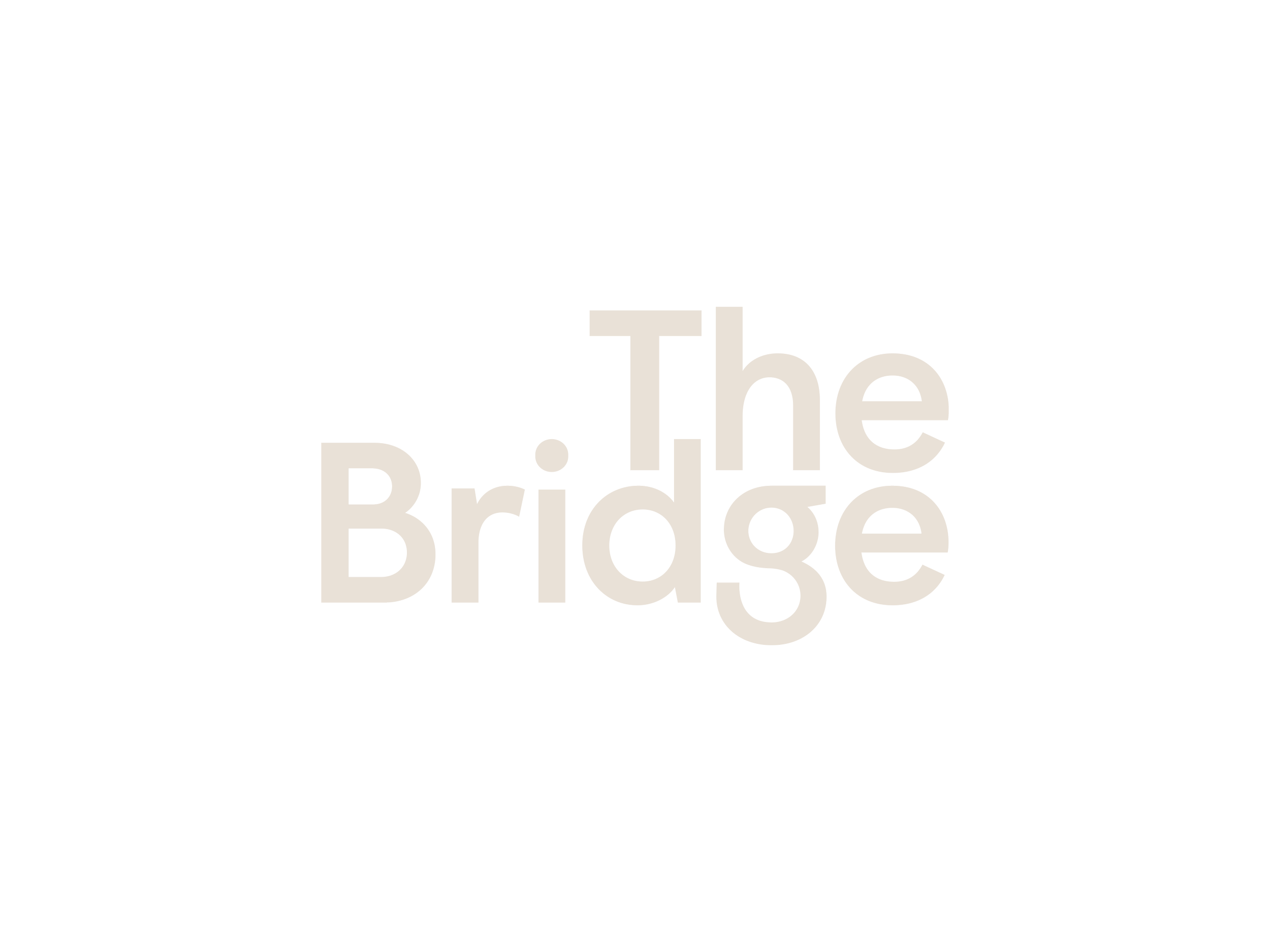 25_Logos_ANH_The-Bridge-Wordmark.png