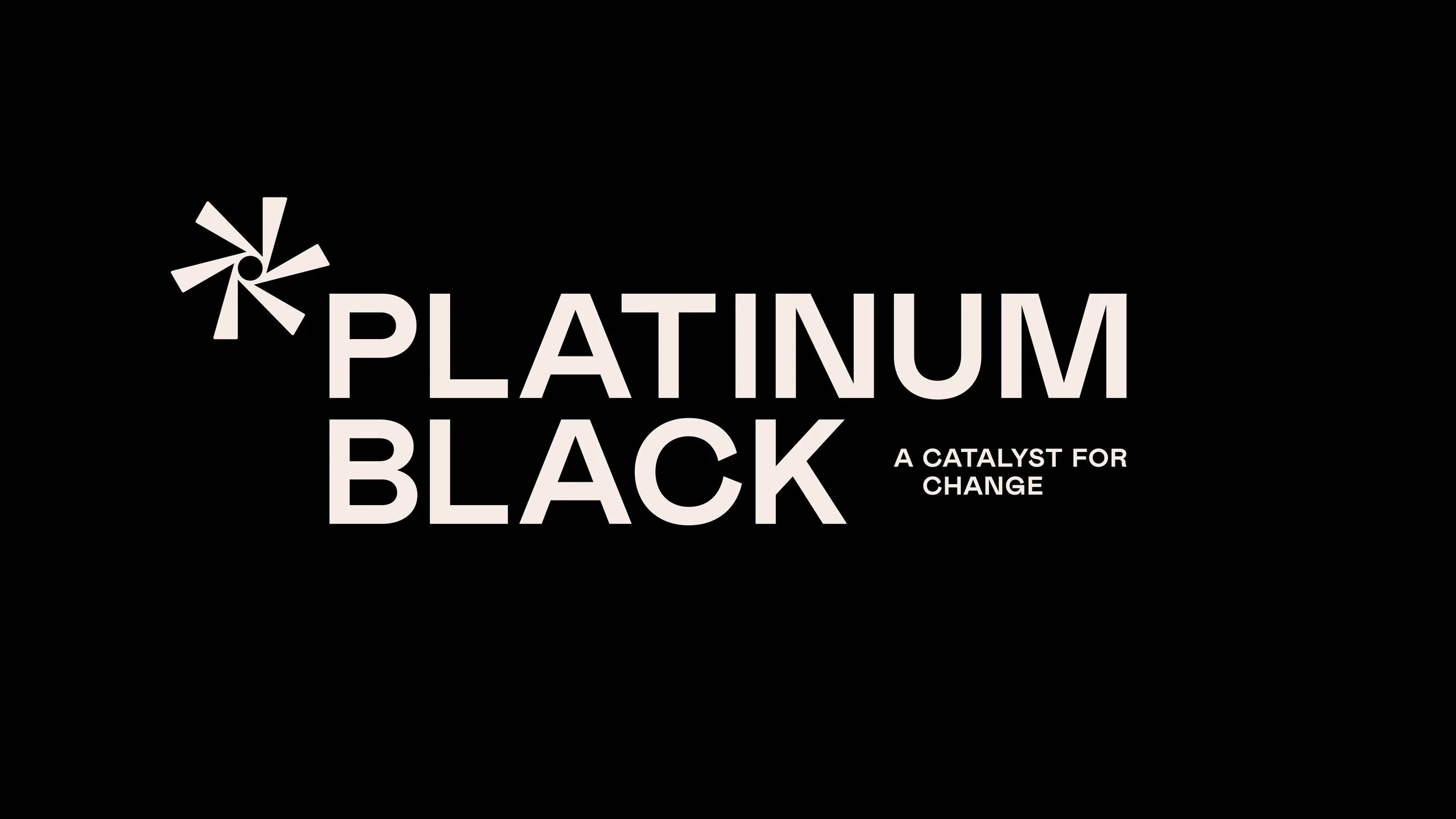 ANH_Platinum-Black_Brand-Concept_00.jpg