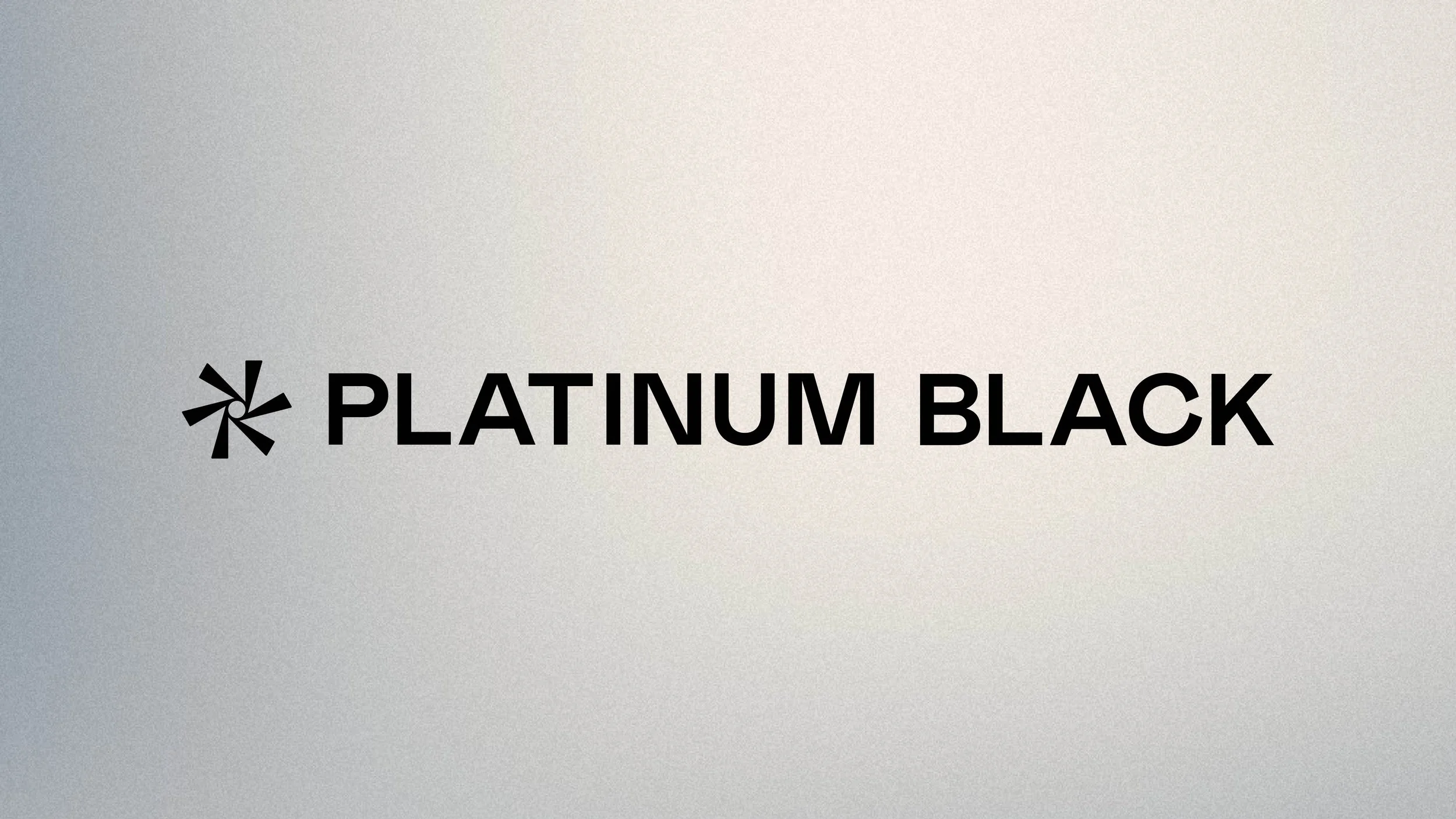ANH_Platinum-Black_Brand-Concept_17.jpg