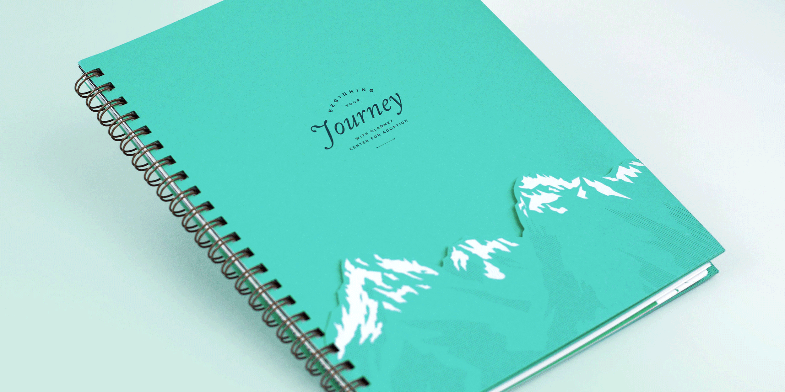 Gladney_AP-Books_01.jpg