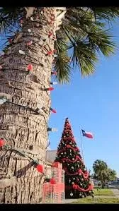 The Mystery Made Known: A Christmas Devotional