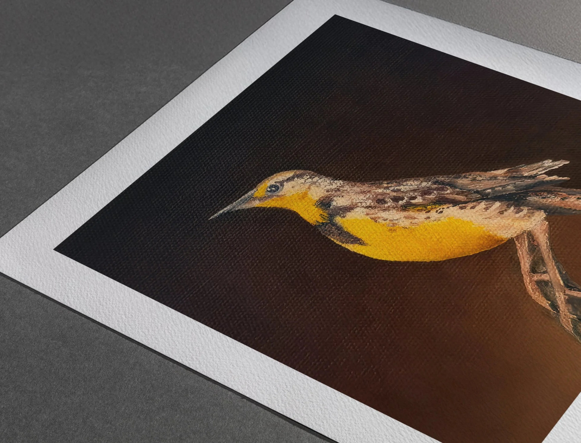 paper-watercolor-Meadowlark copy.jpg