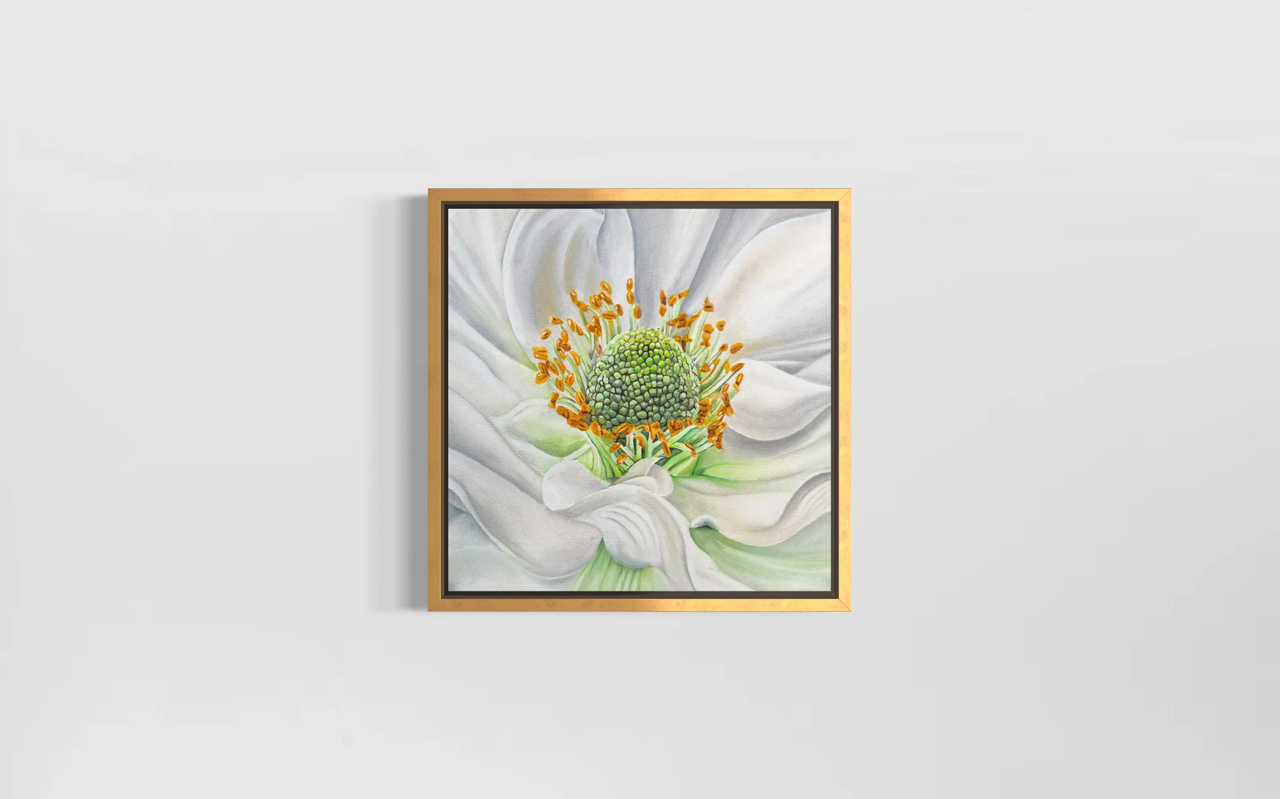 New Zeland Lily - Main.jpeg