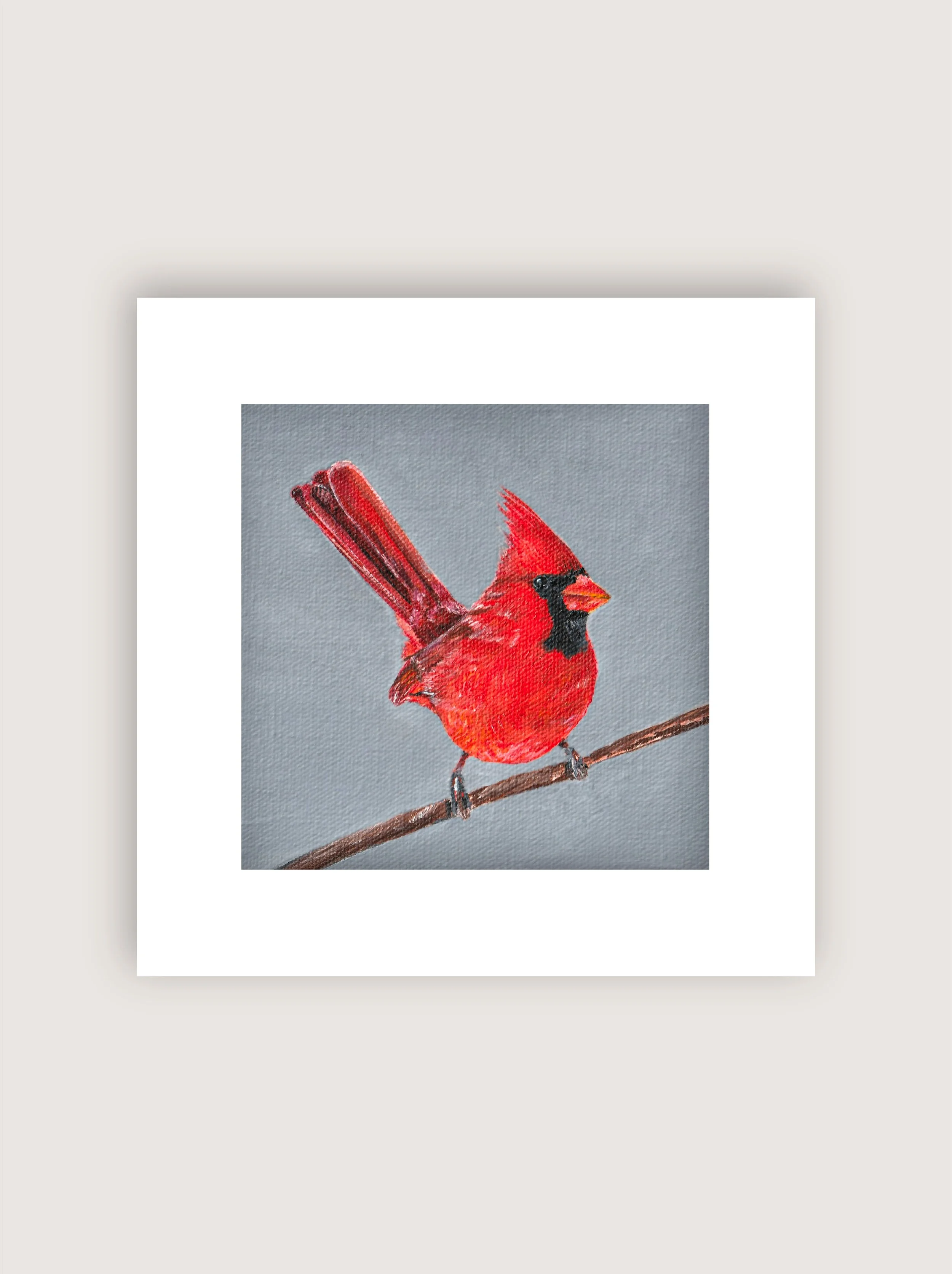 cardinal-4.jpg
