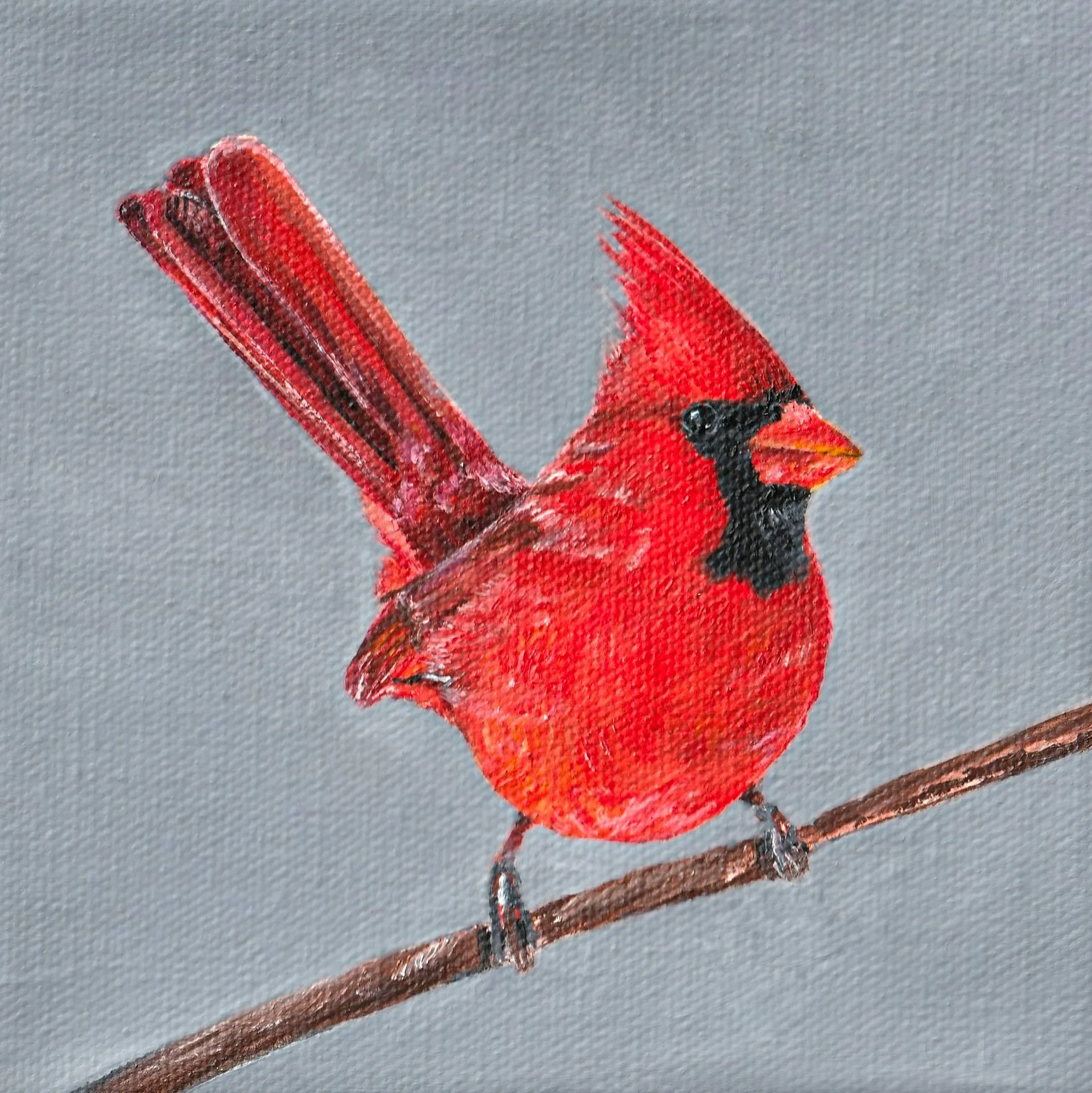 Cardinal-2.jpg