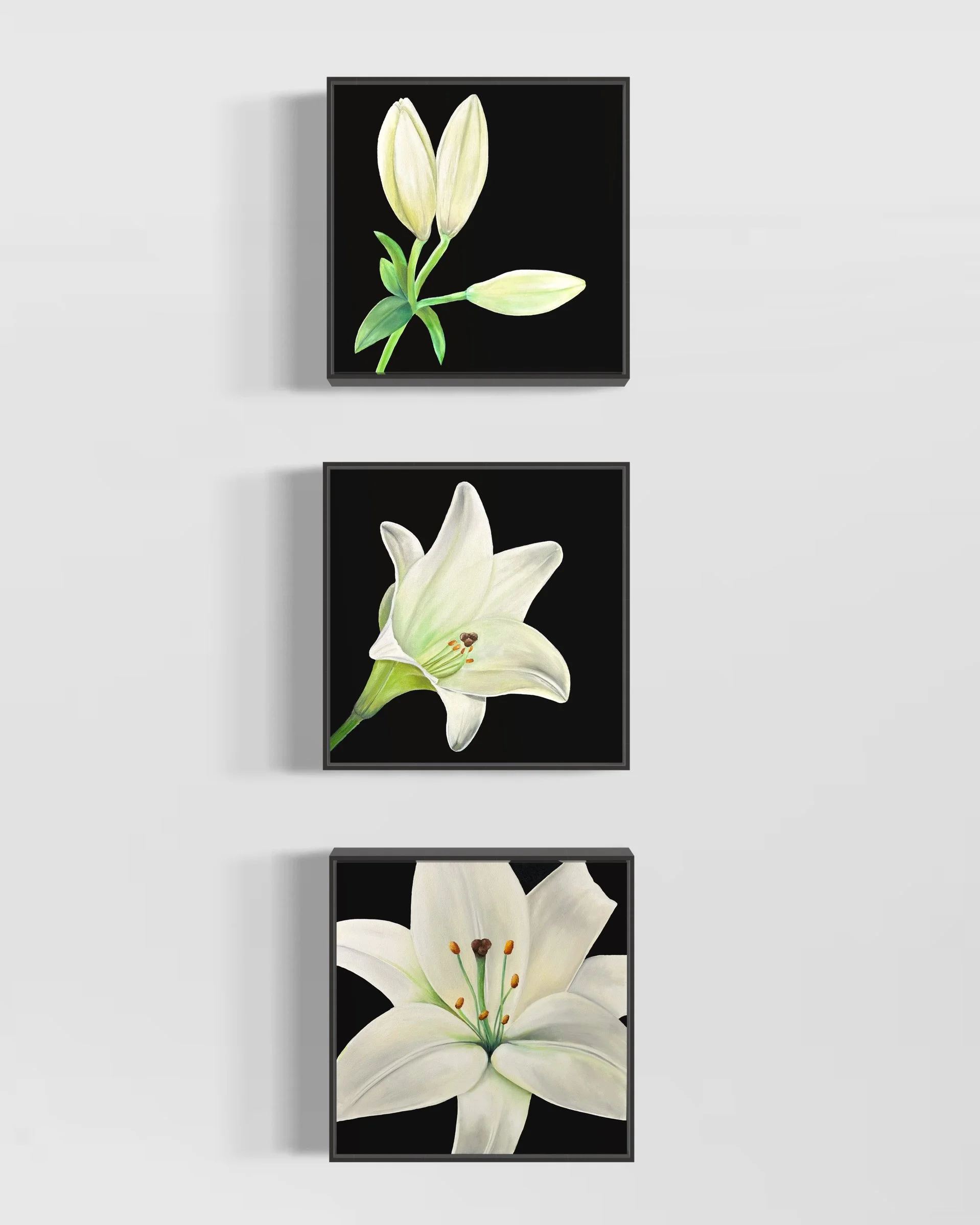Lily In Bloom.jpeg
