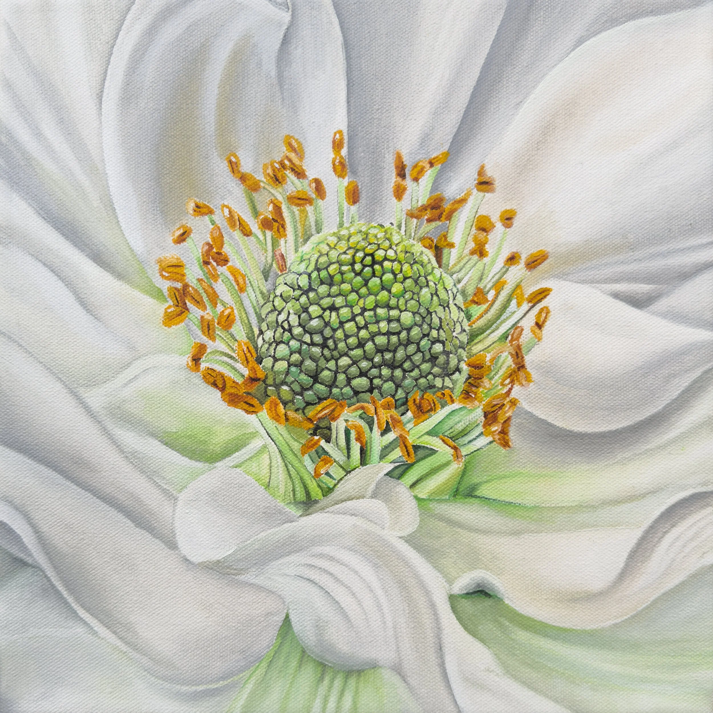 New Zealand Lily.jpg