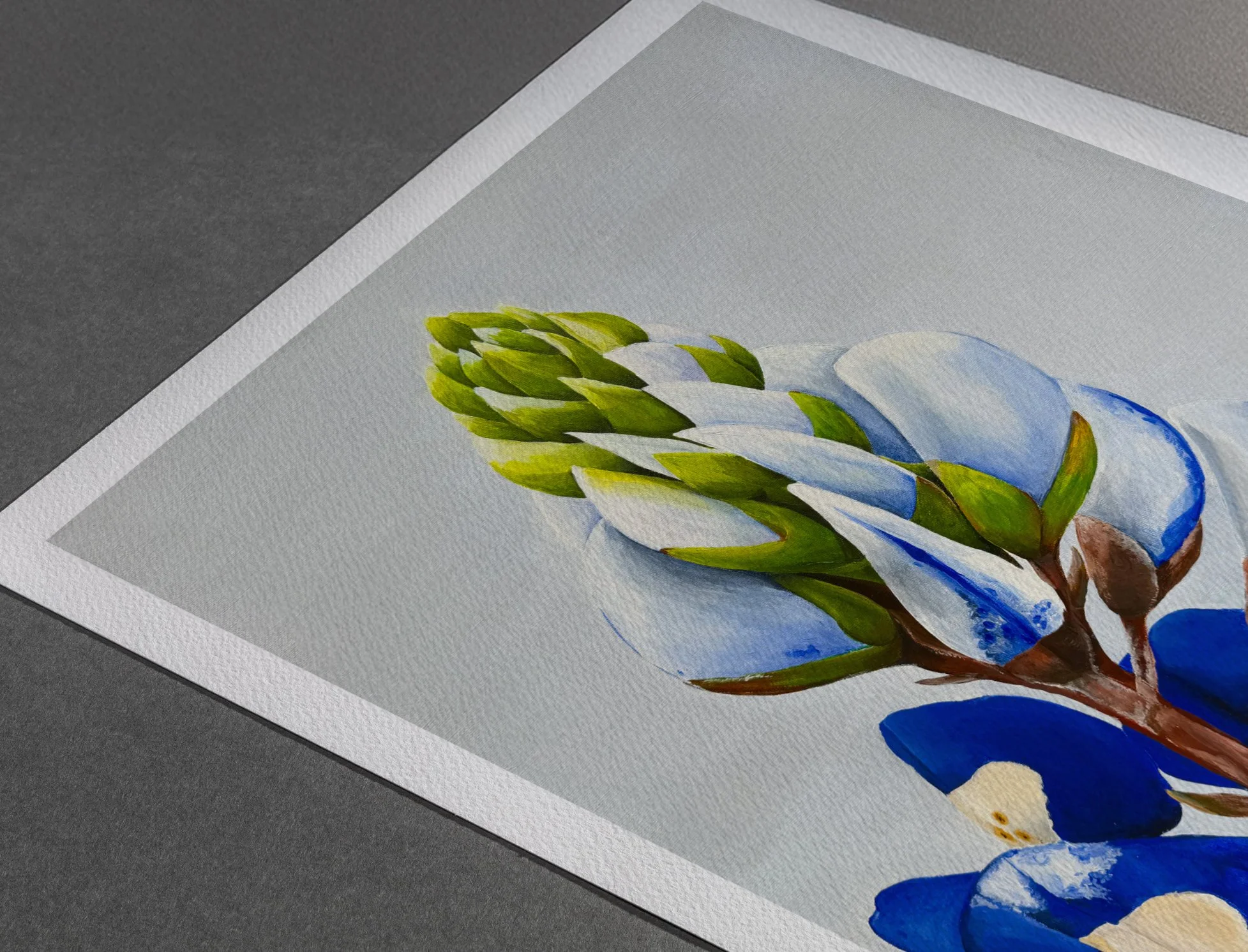 paper-watercolor-Bluebonnet copy.jpg