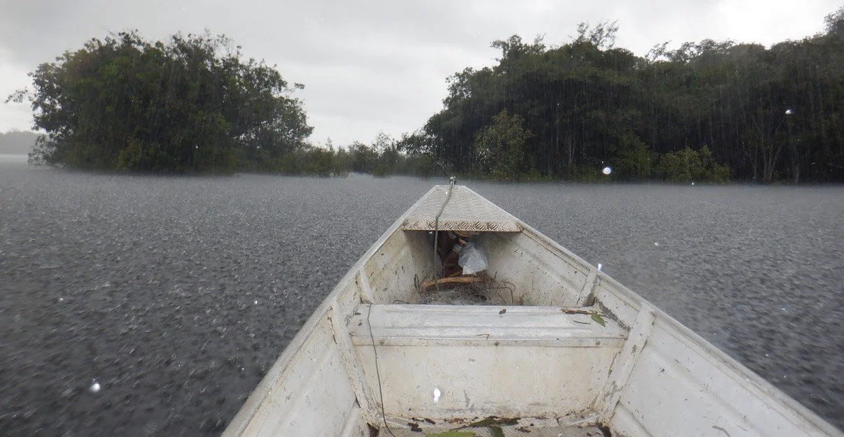 The Guyanas: Muddy Water and Mosquitos 