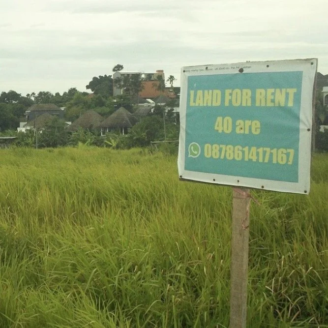 Bali: A Warning to the World of Power and Pressure 