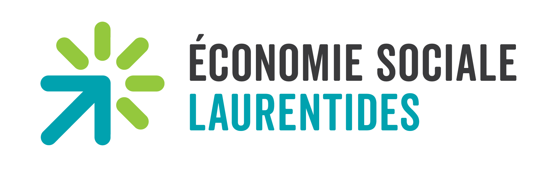 Logo représentant une flèche bleue pointant vers le haut et une étoile verte, avec le texte "ÉCONOMIE SOCIALE" en gris et "LAURENTIDES" en bleu.