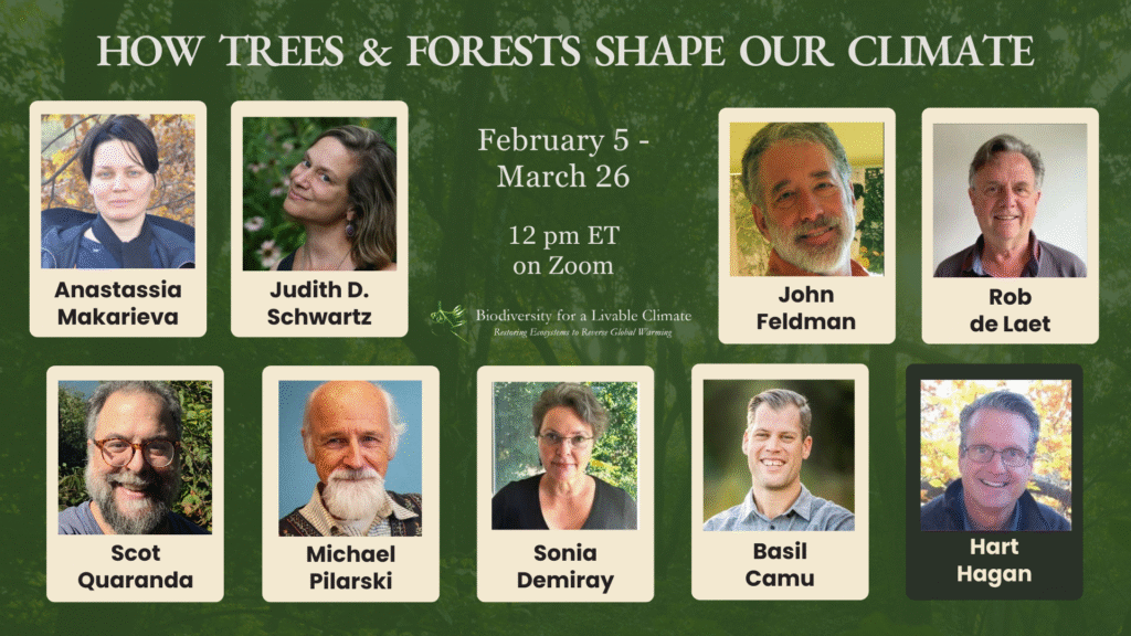 What If Forests Are the Secret Climate Engine? How Trees &amp; Forests Shape Our Climate - February 5 – March 26, 2026