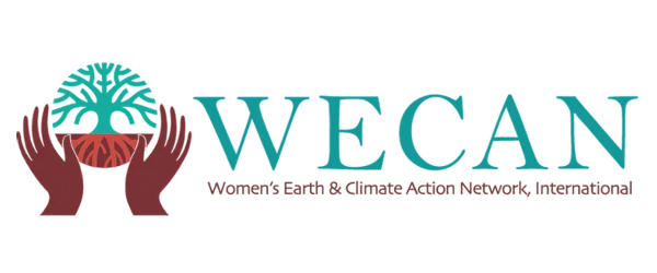 womens-earth-and-climate-network.png