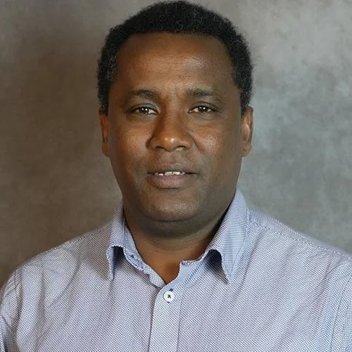 Kidane Giday Gebremedhin.jpg