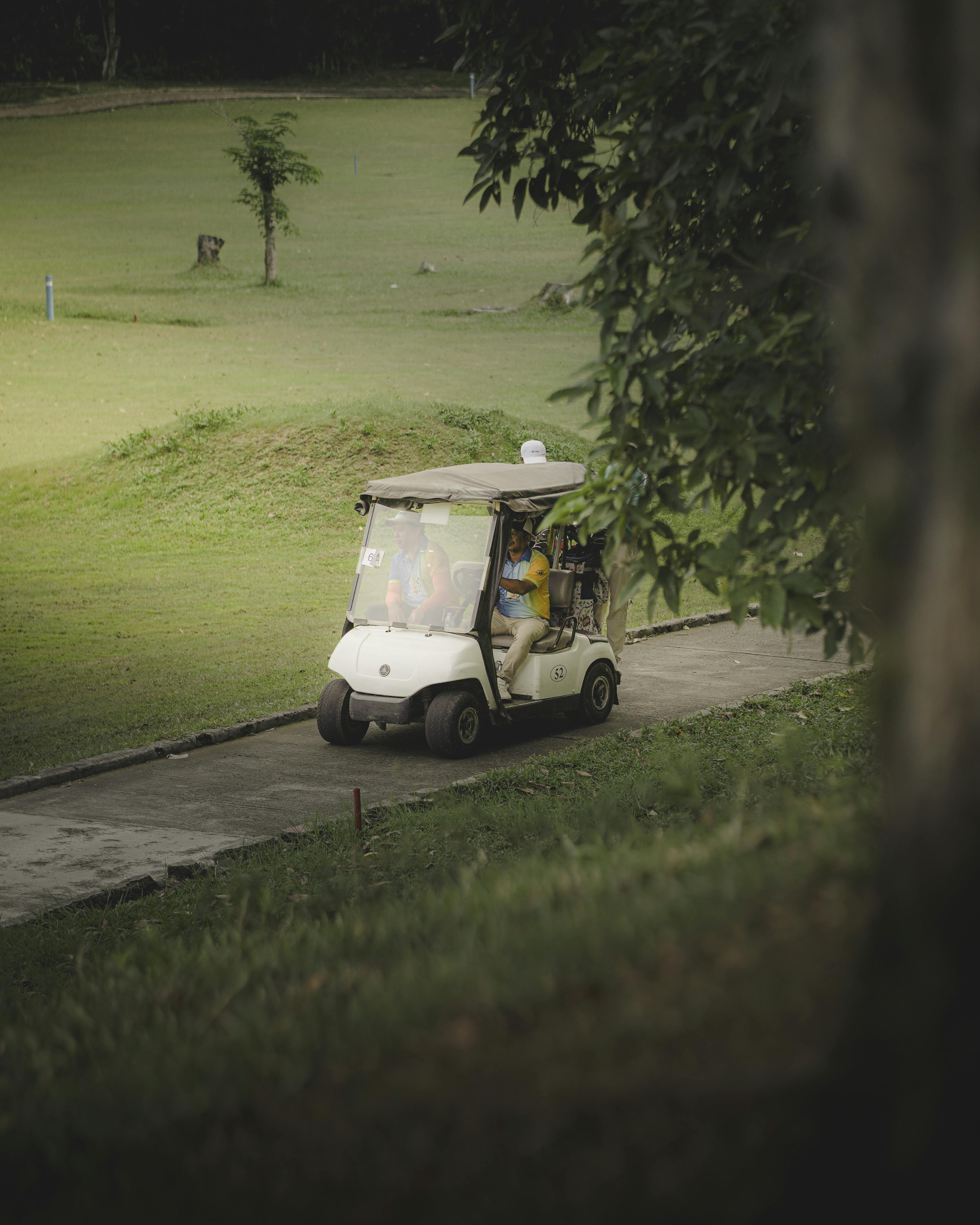 golf cart tree.png