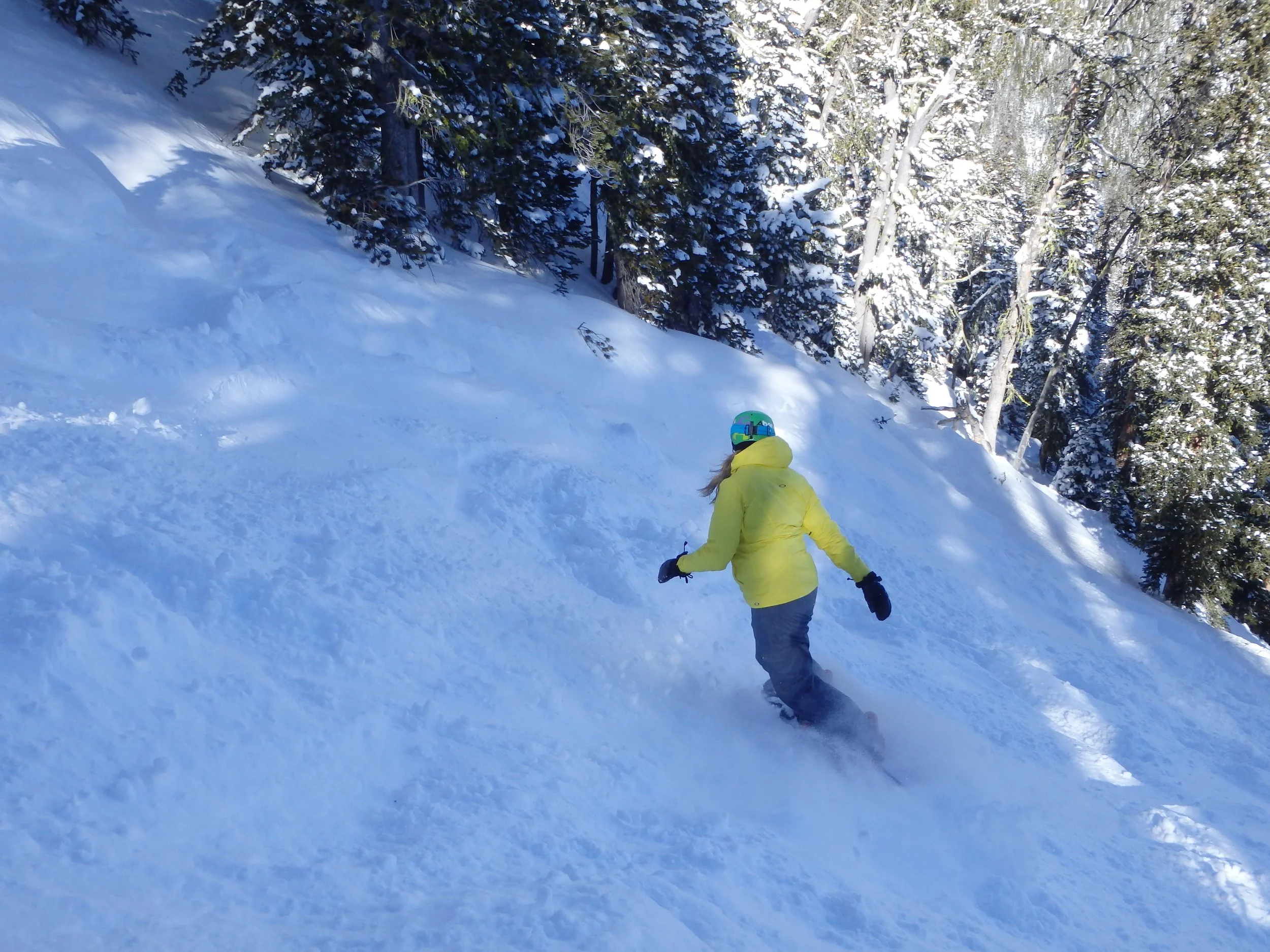 Erica snowboarding on a mountain, reflecting the energy and curiosity she brings to supporting clients in the Fargo–Moorhead area.