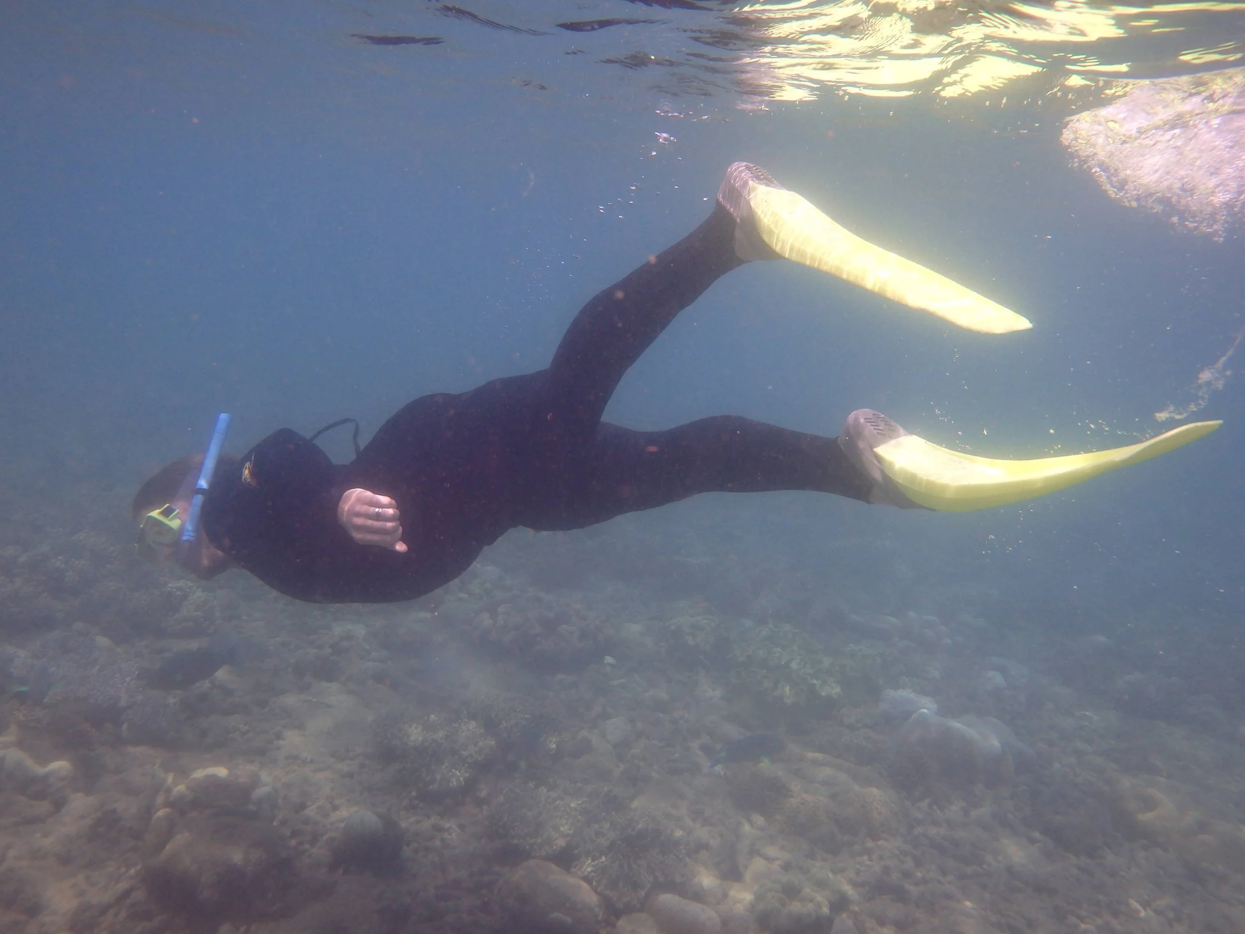 Erica snorkeling and exploring new places, a sense of curiosity she brings into her counseling work with clients in North Dakota and Minnesota.