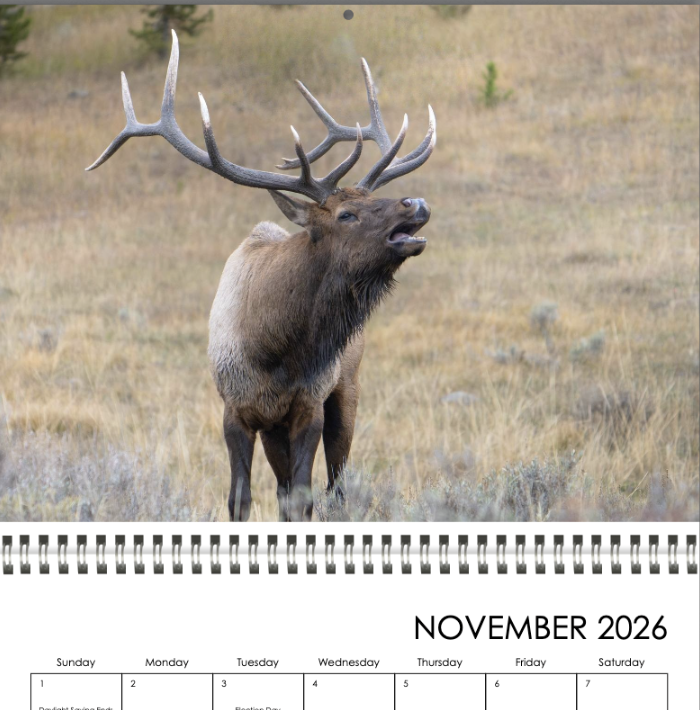 Screenshot 2025-11-15 at 10.22.49 AM.png