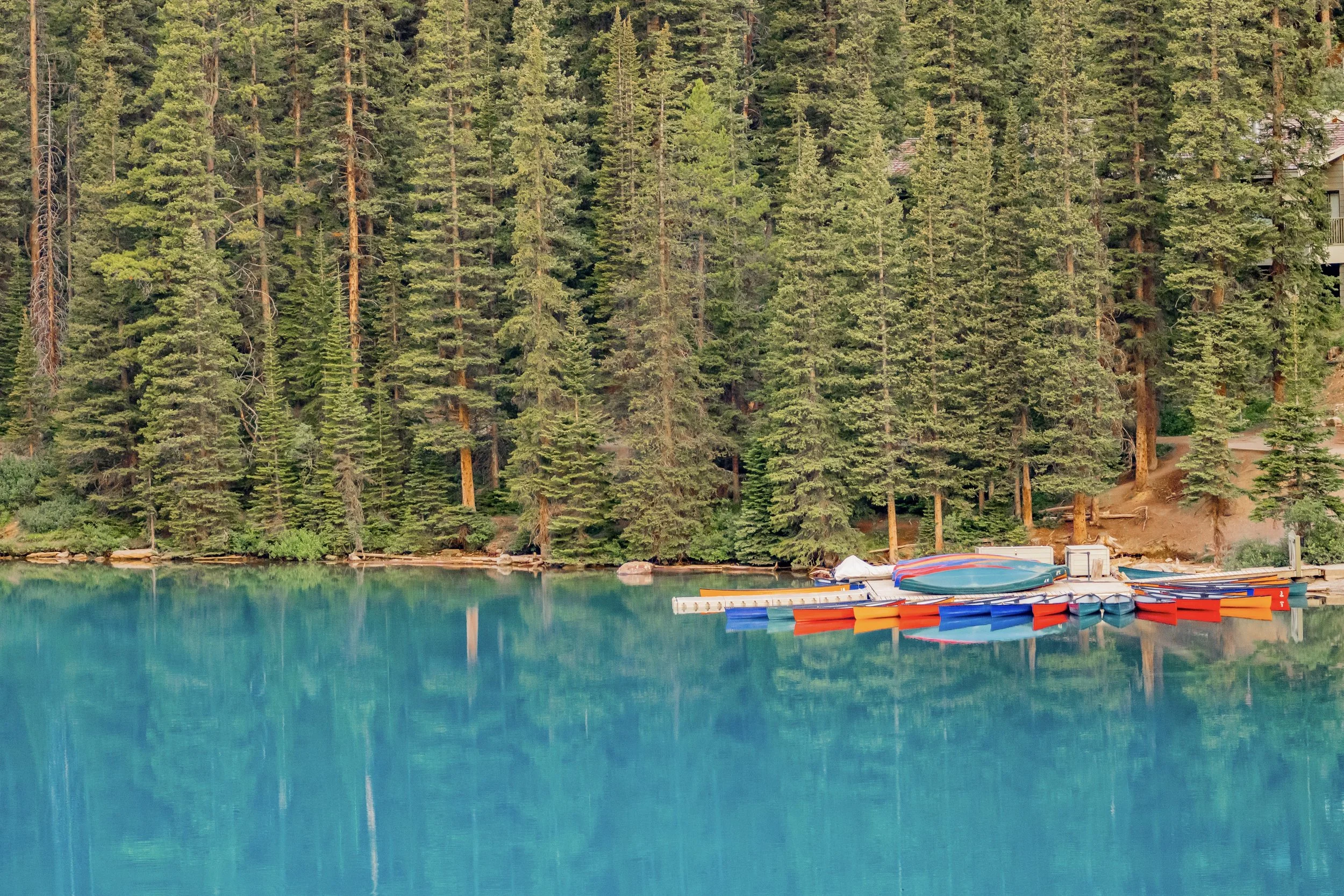 A serene lake surrounded by dense green pine trees with boats floating on the water near a wooden dock.