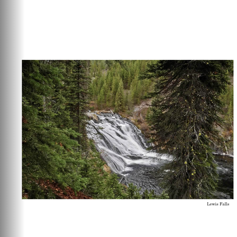 Screenshot 2026-03-01 at 12.53.51 PM.png