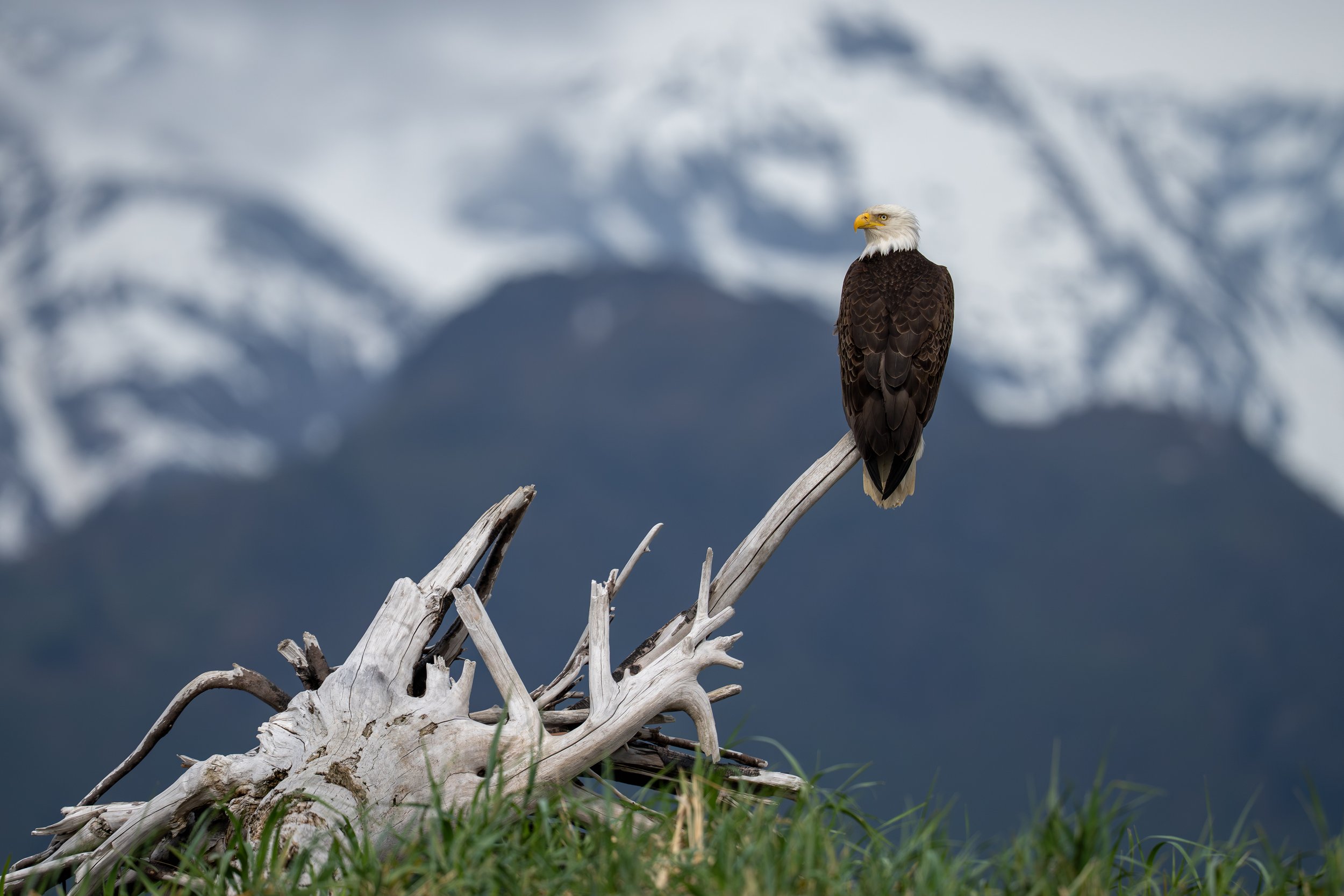 _DSC5964.jpg