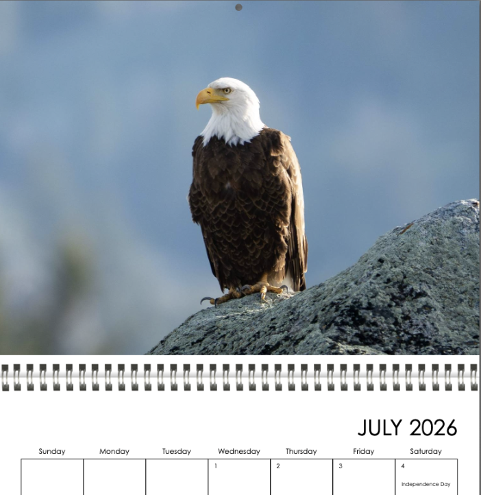 Screenshot 2025-11-15 at 10.22.06 AM.png