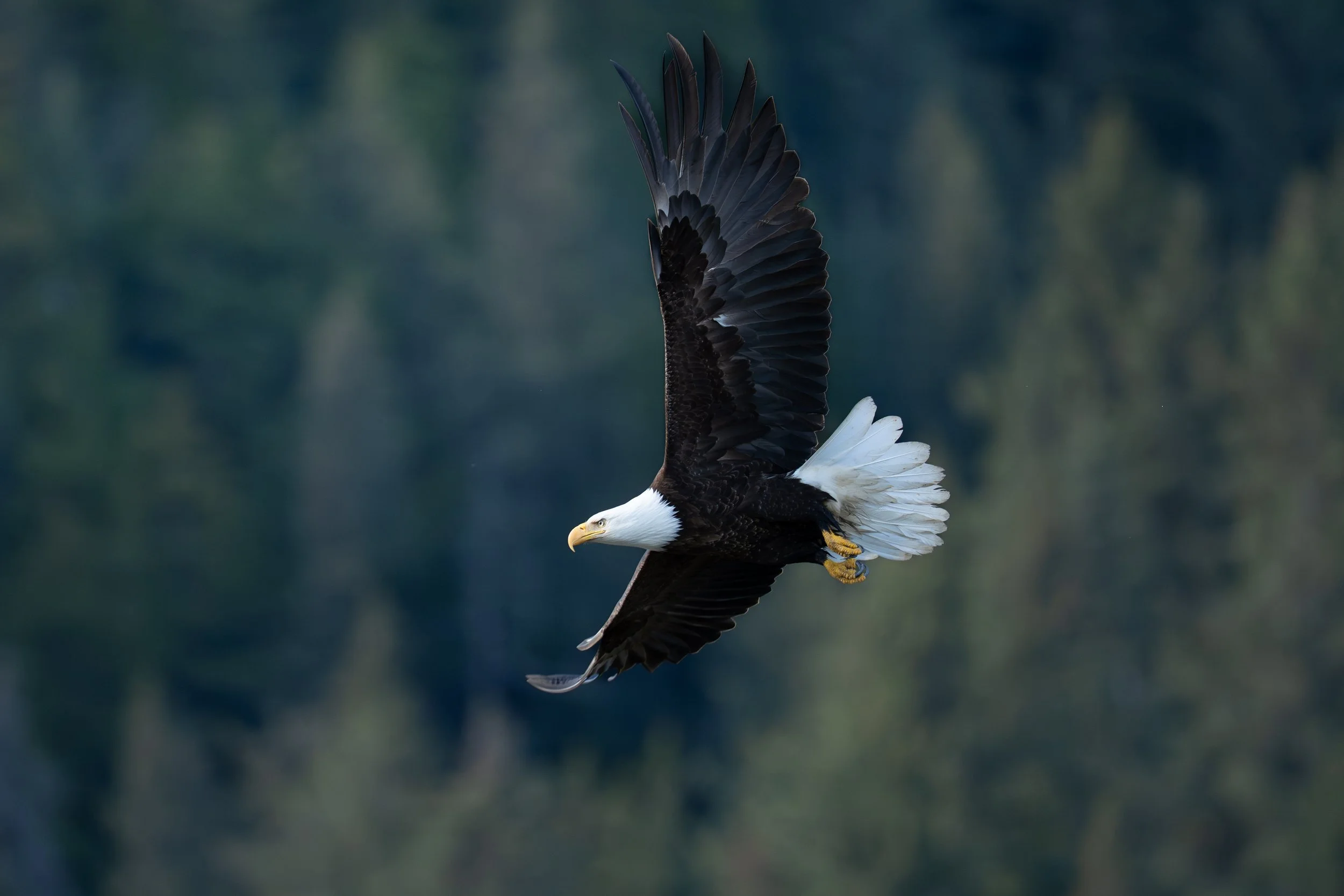 _DSC8868.jpg