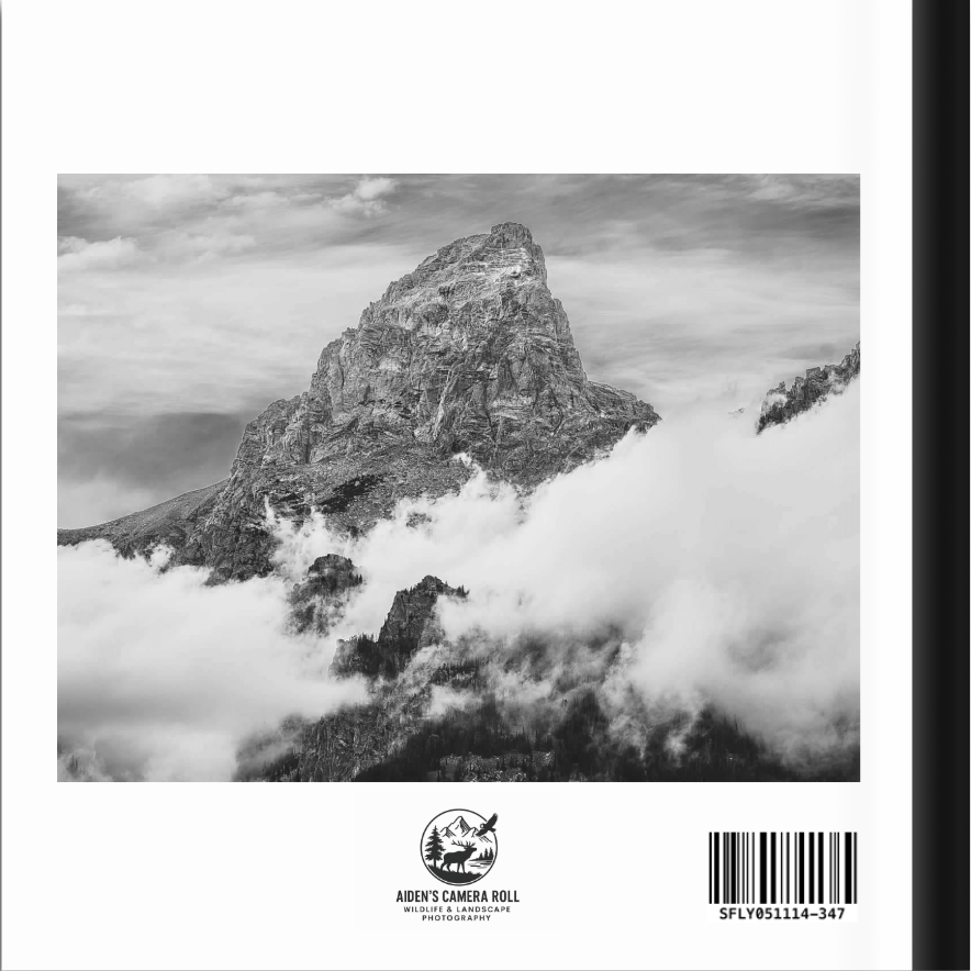 Screenshot 2026-03-01 at 12.54.12 PM.png