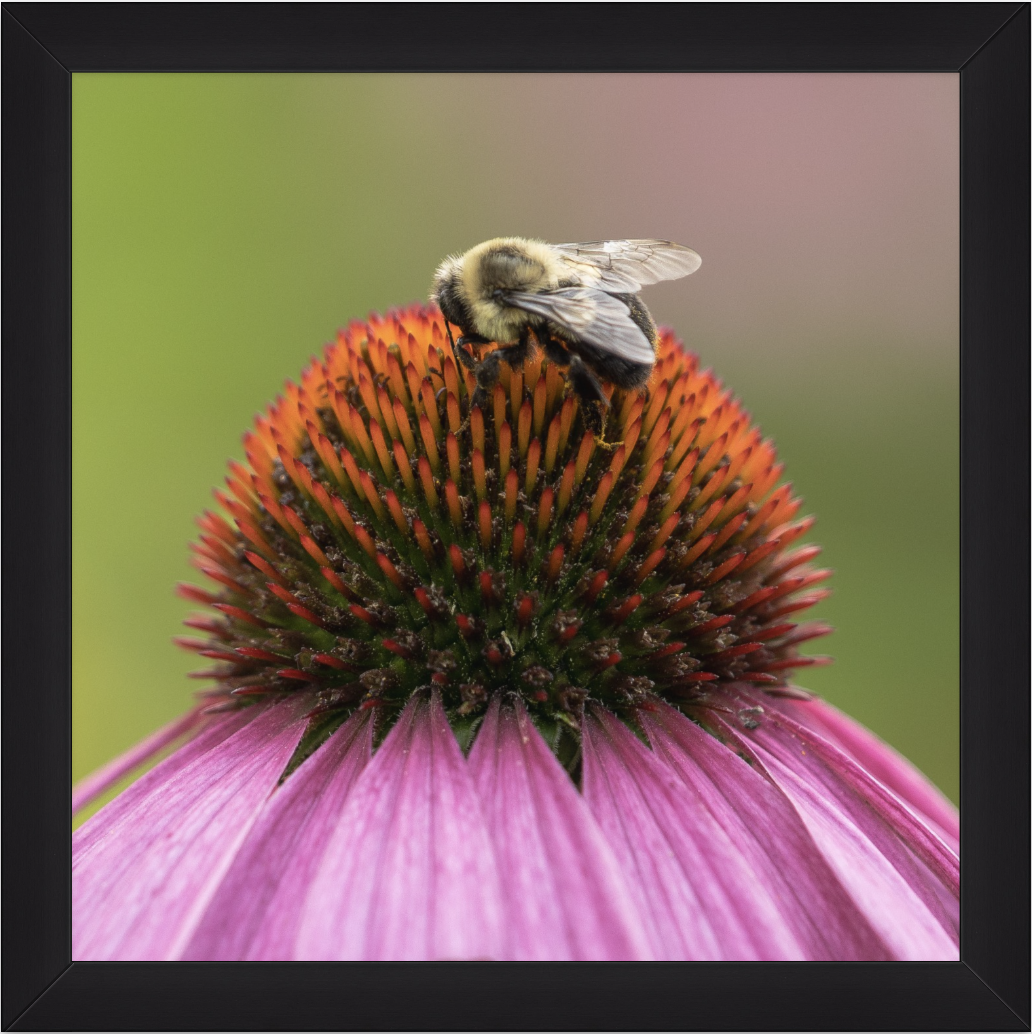 Screenshot 2025-11-21 at 10.08.08 AM.png