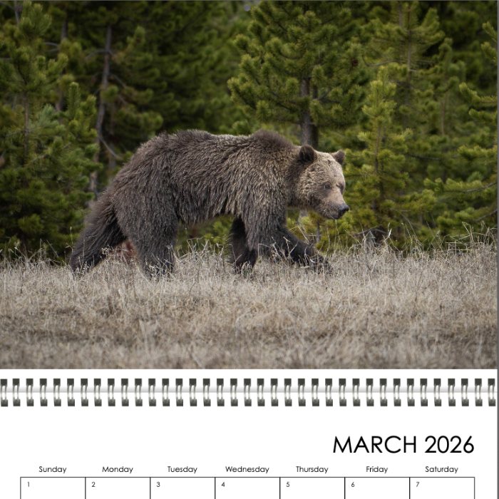 Screenshot 2025-11-15 at 10.21.01 AM.png