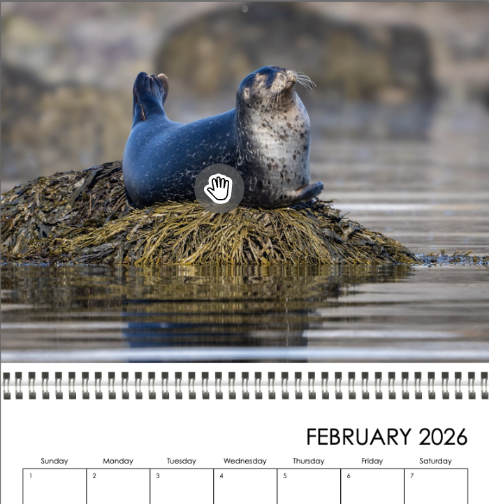 Screenshot 2025-11-15 at 10.20.48 AM.png