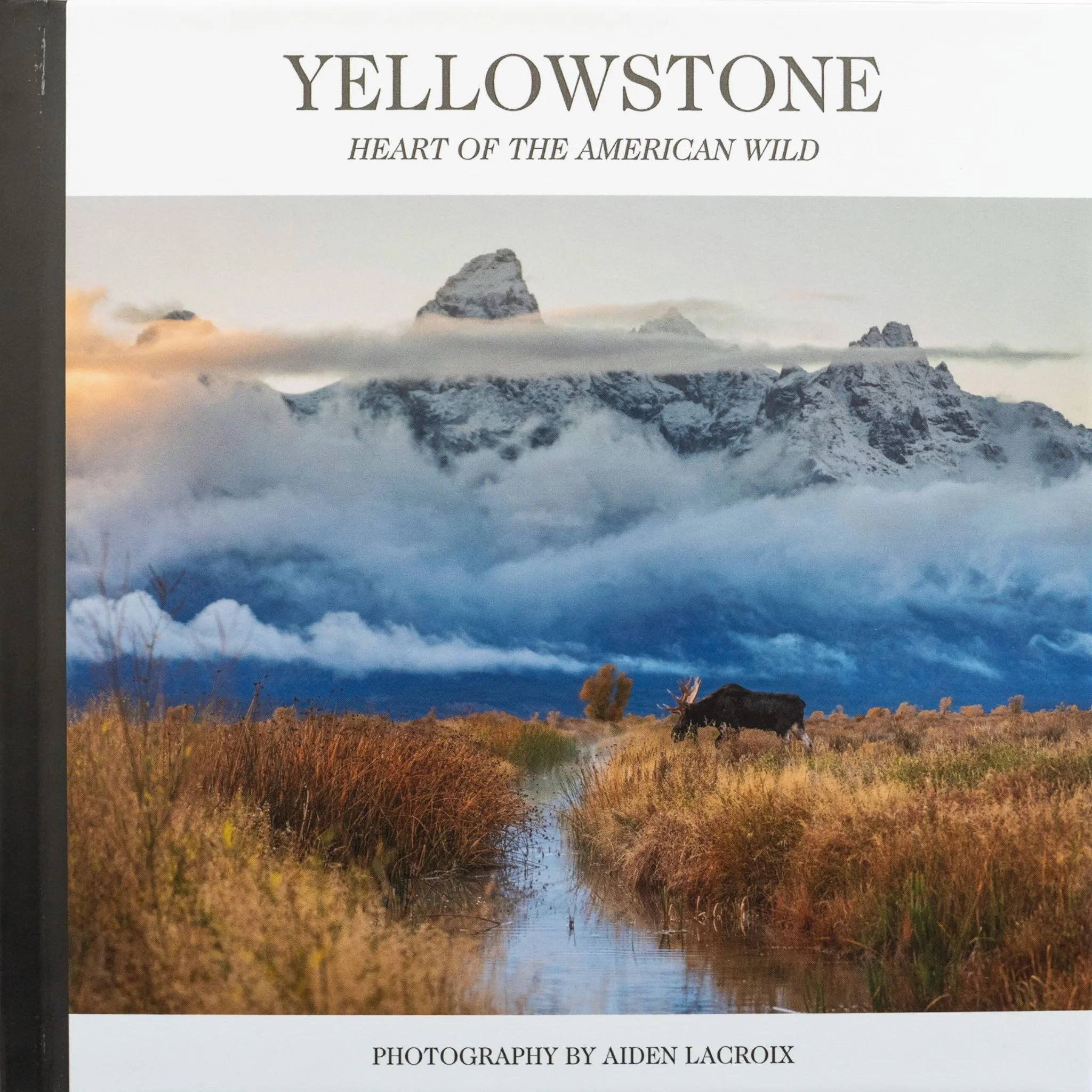 Untitled design (1).jpg