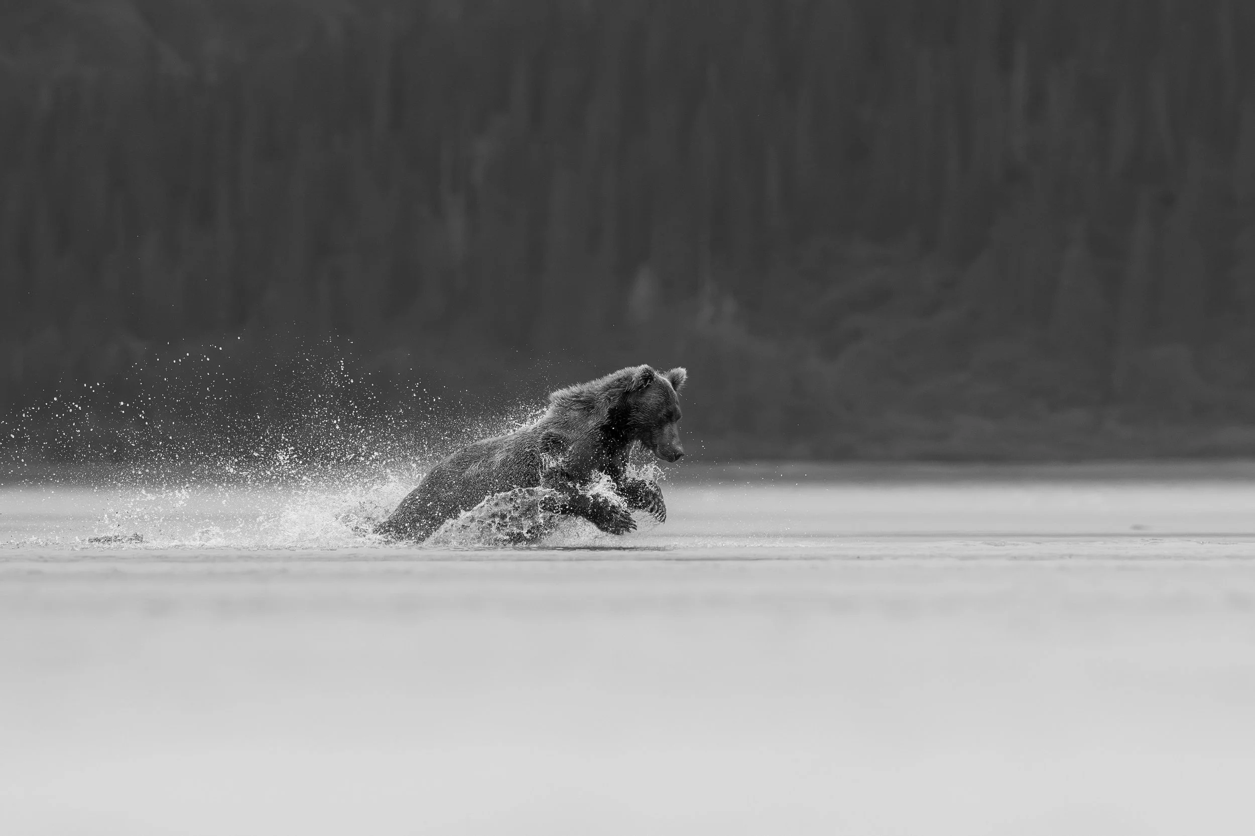 4402F1D2-B3C7-4F8E-82CB-E0E6C1C1384A.jpeg