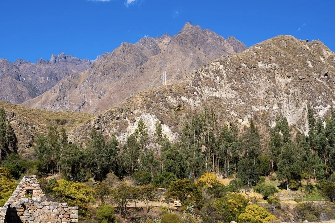 Mountain landscape with rocky peaks, green trees, and a clear blue sky.