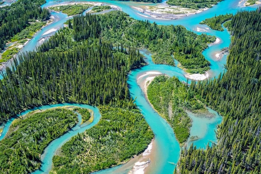 Aerial view of a winding turquoise river flowing through a lush green forested landscape.
