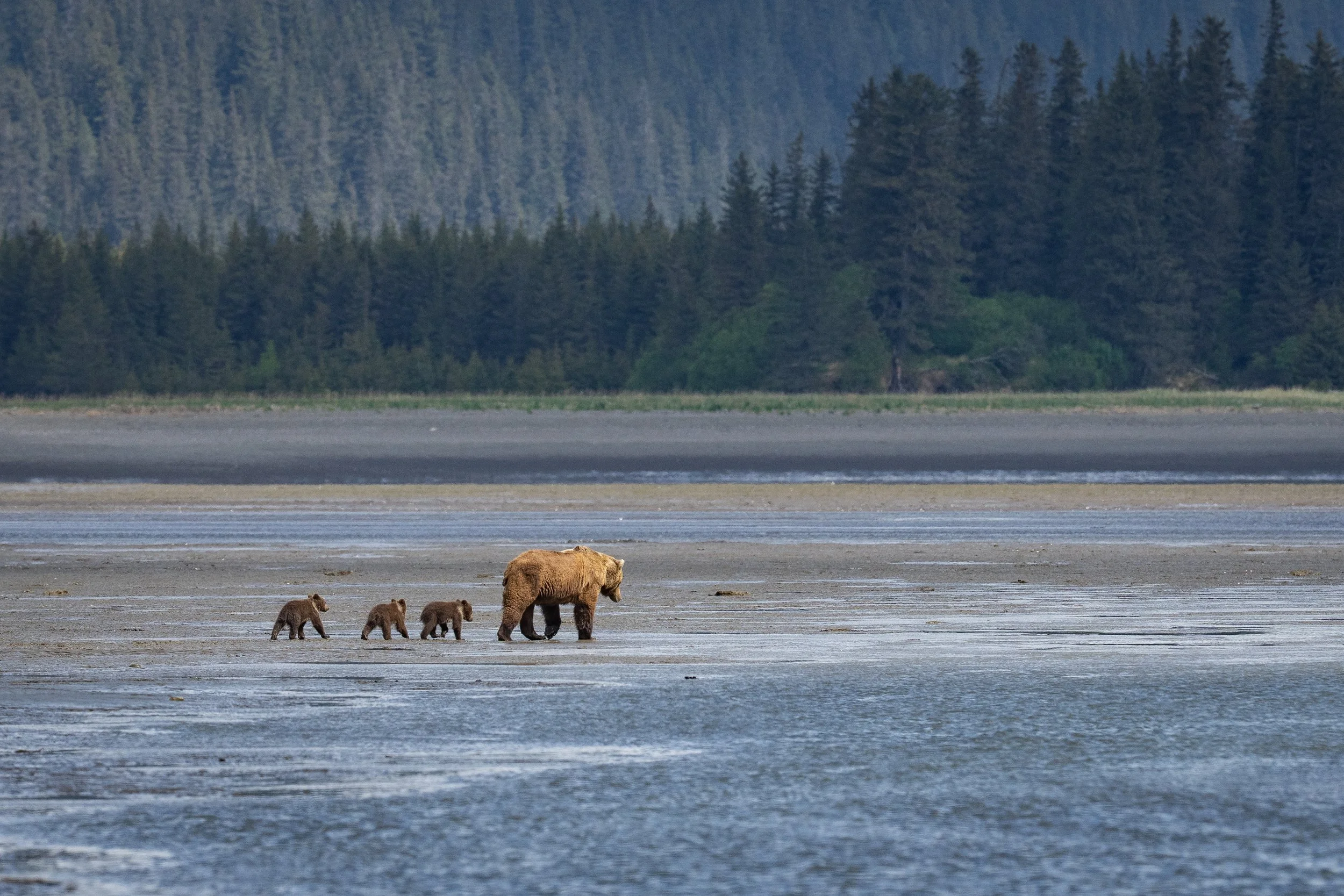 _DSC3818.jpg